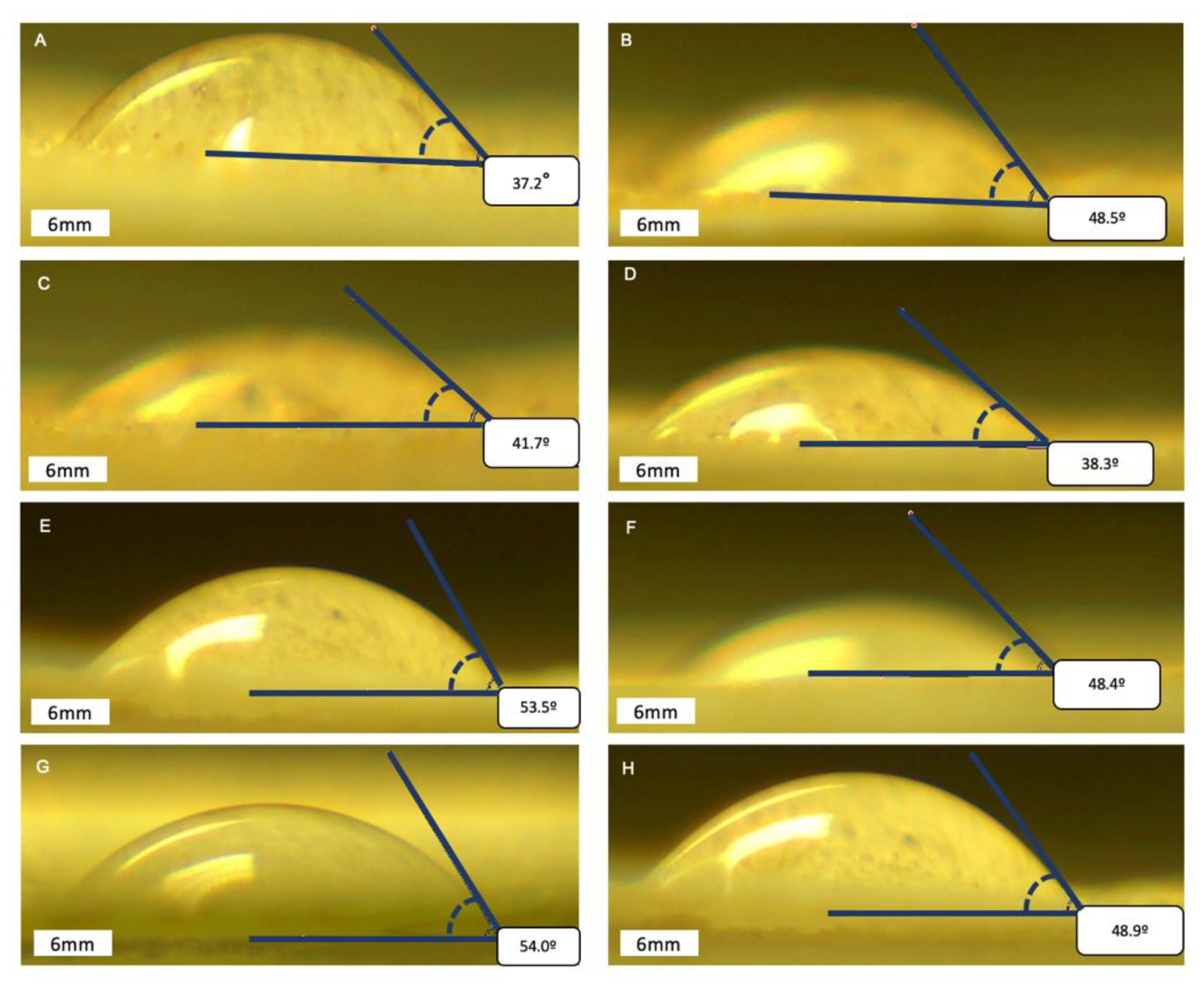 Plants 10 02567 g003