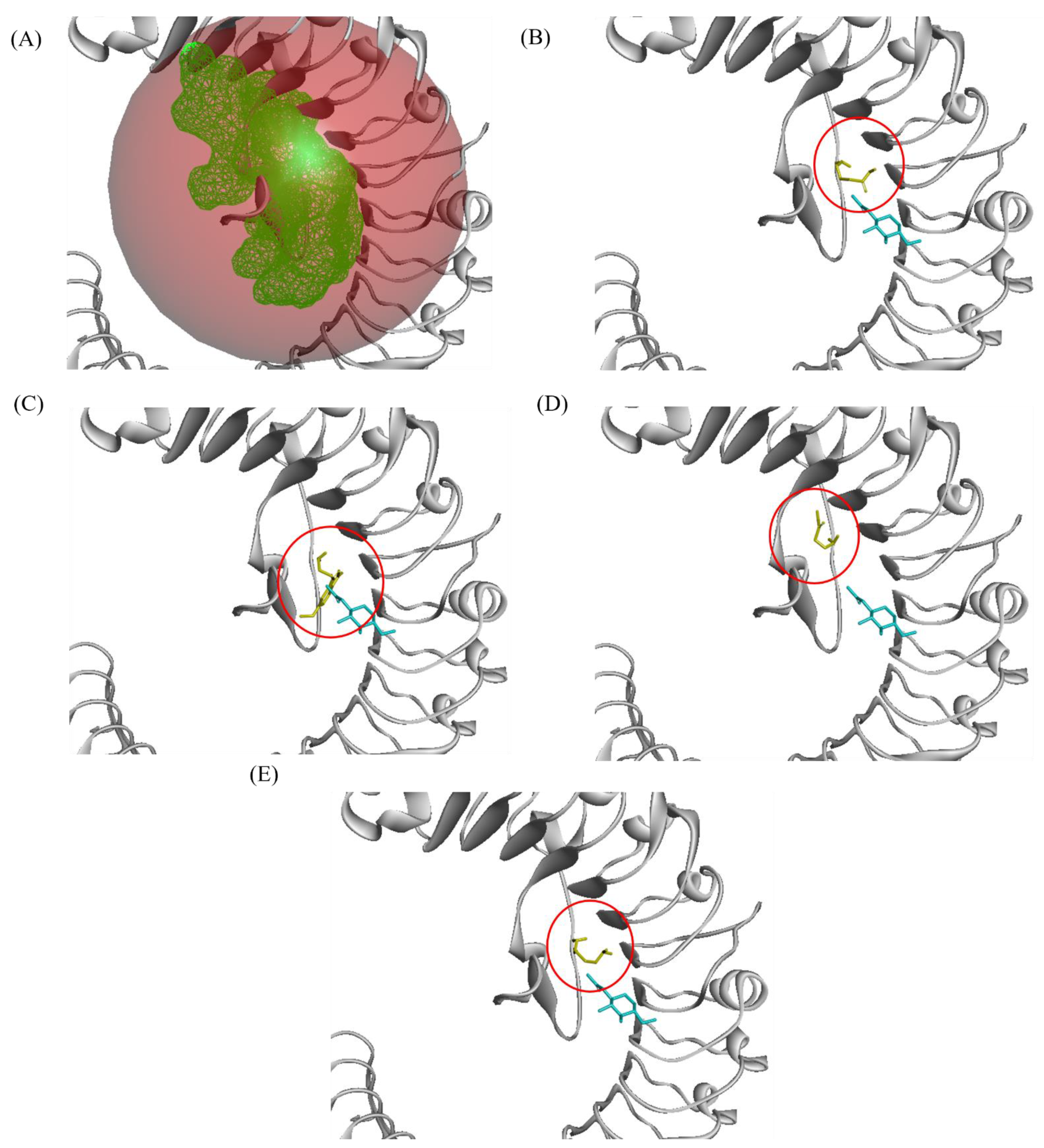 Plants 10 02574 g002