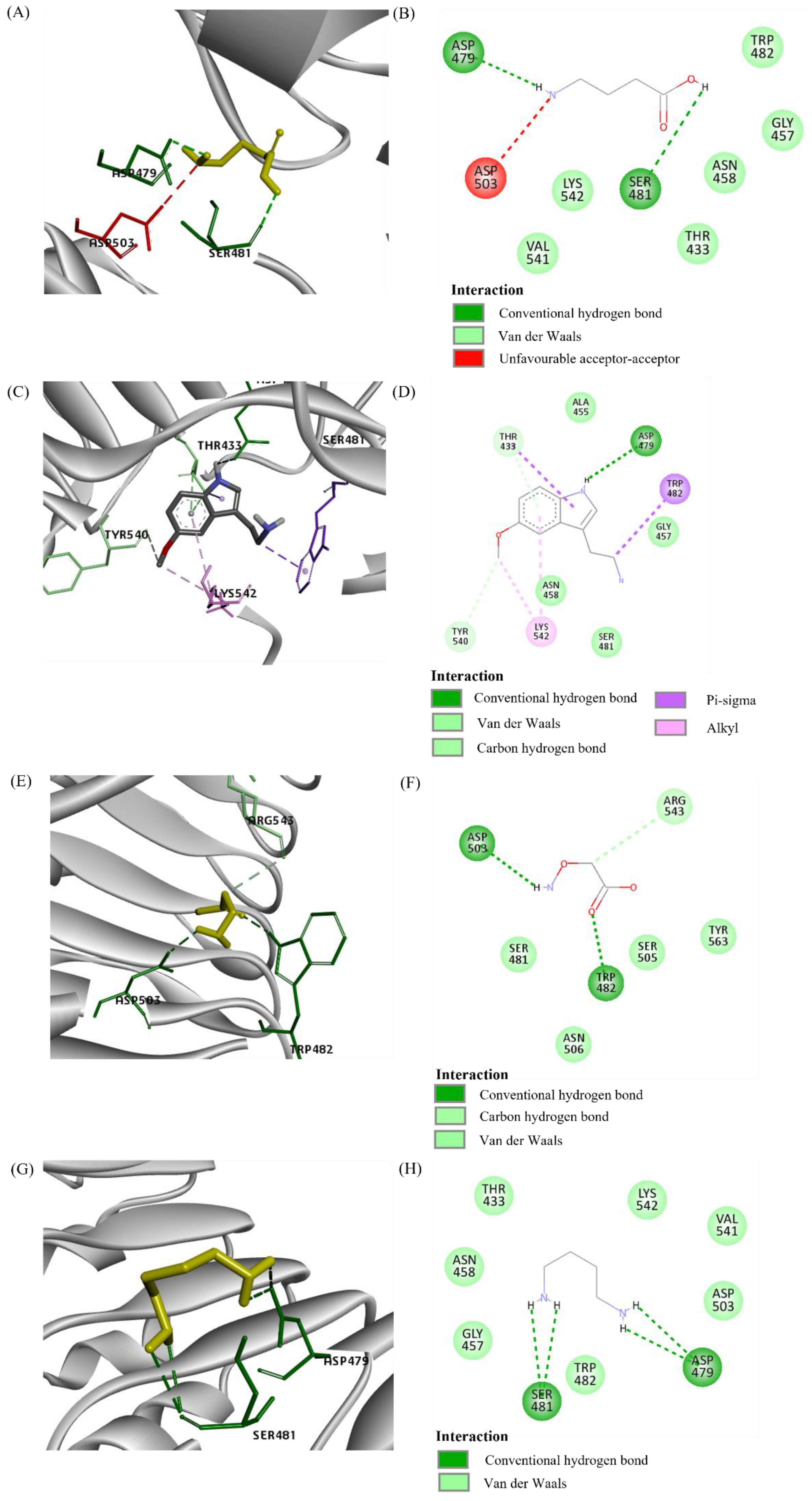 Plants 10 02574 g003
