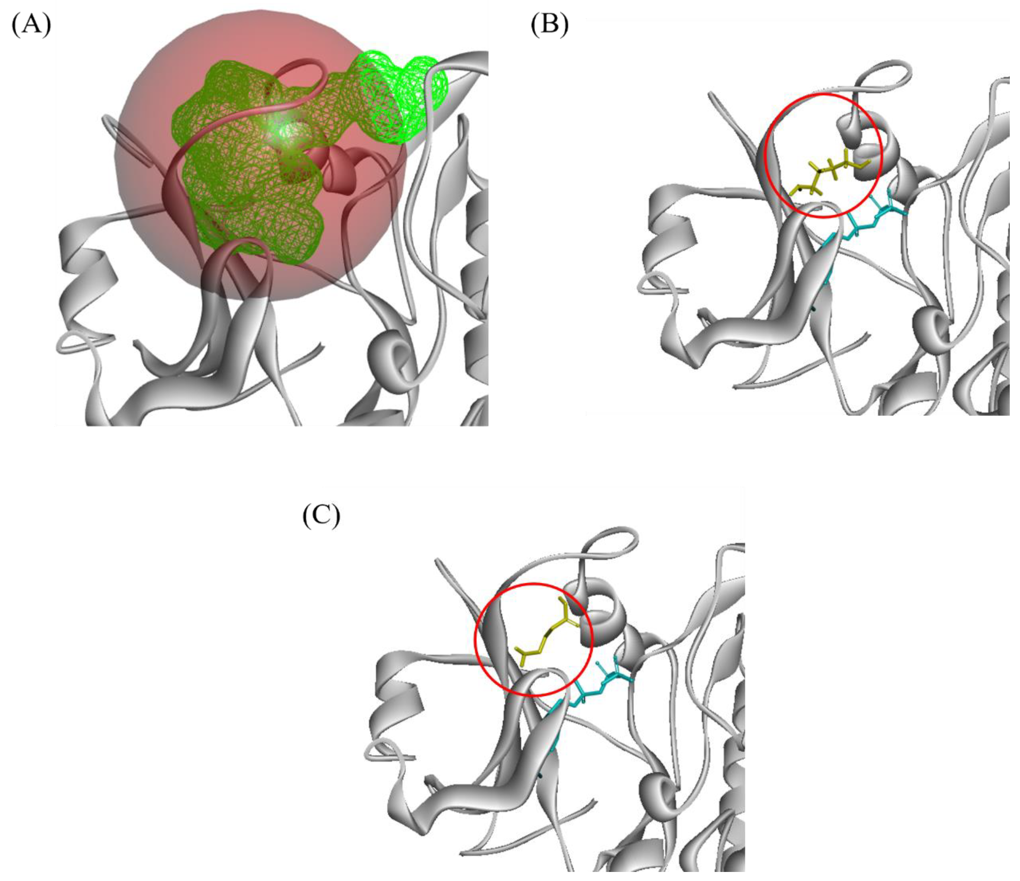 Plants 10 02574 g004