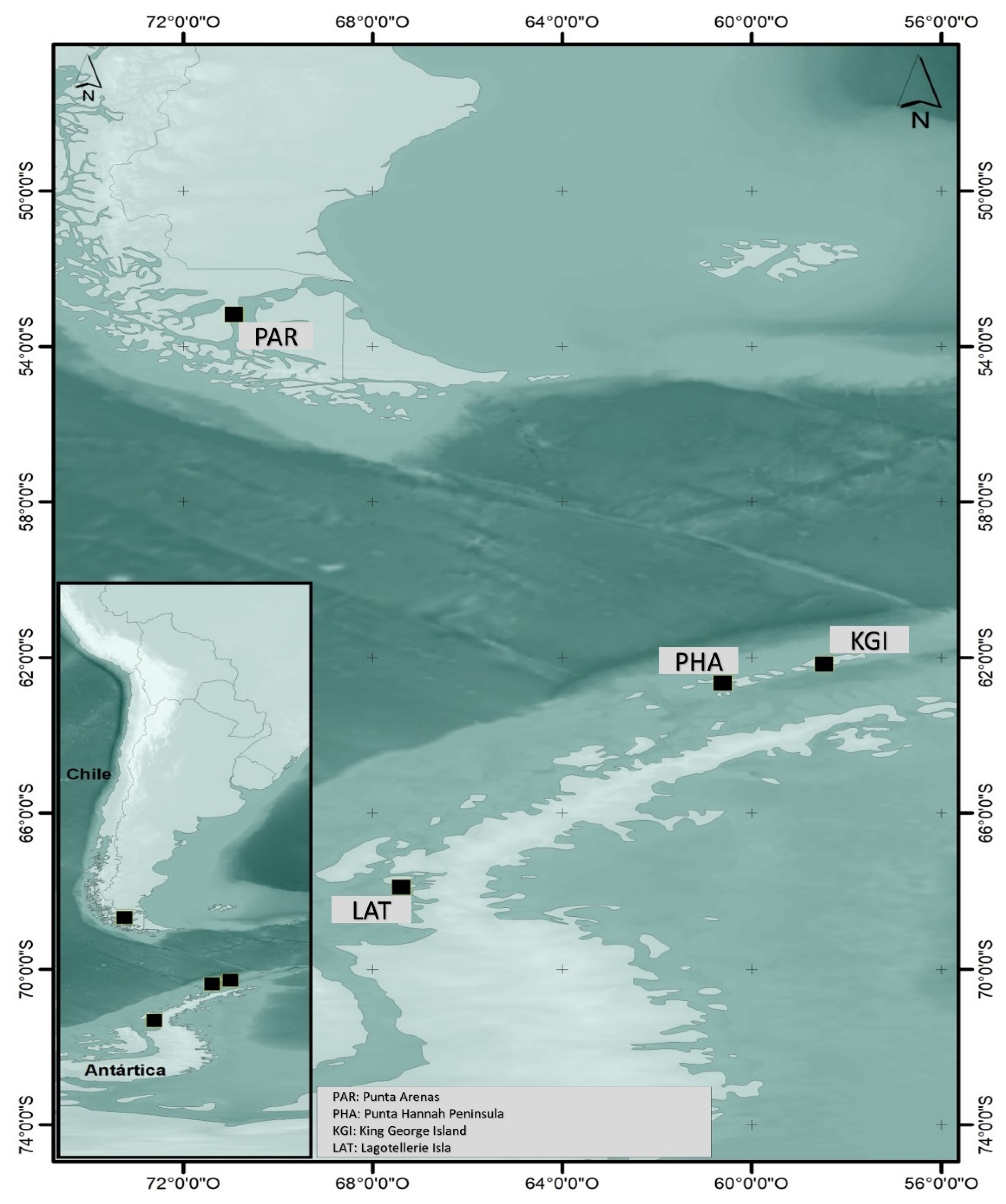 Plants 10 02593 g005