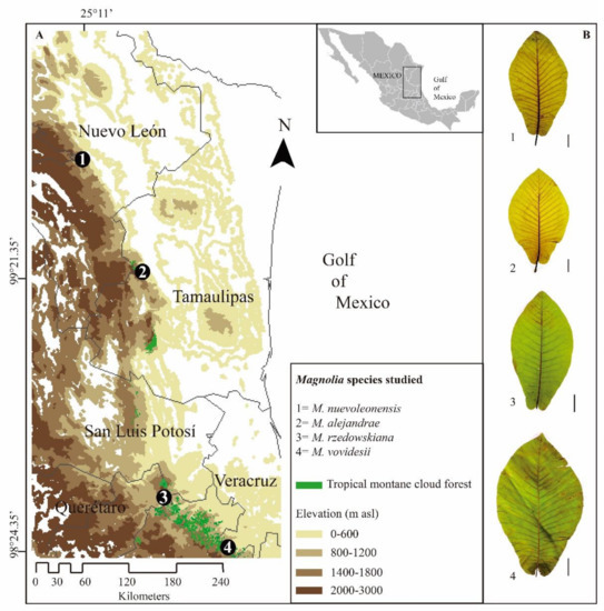 Plants 10 02595 g001 550