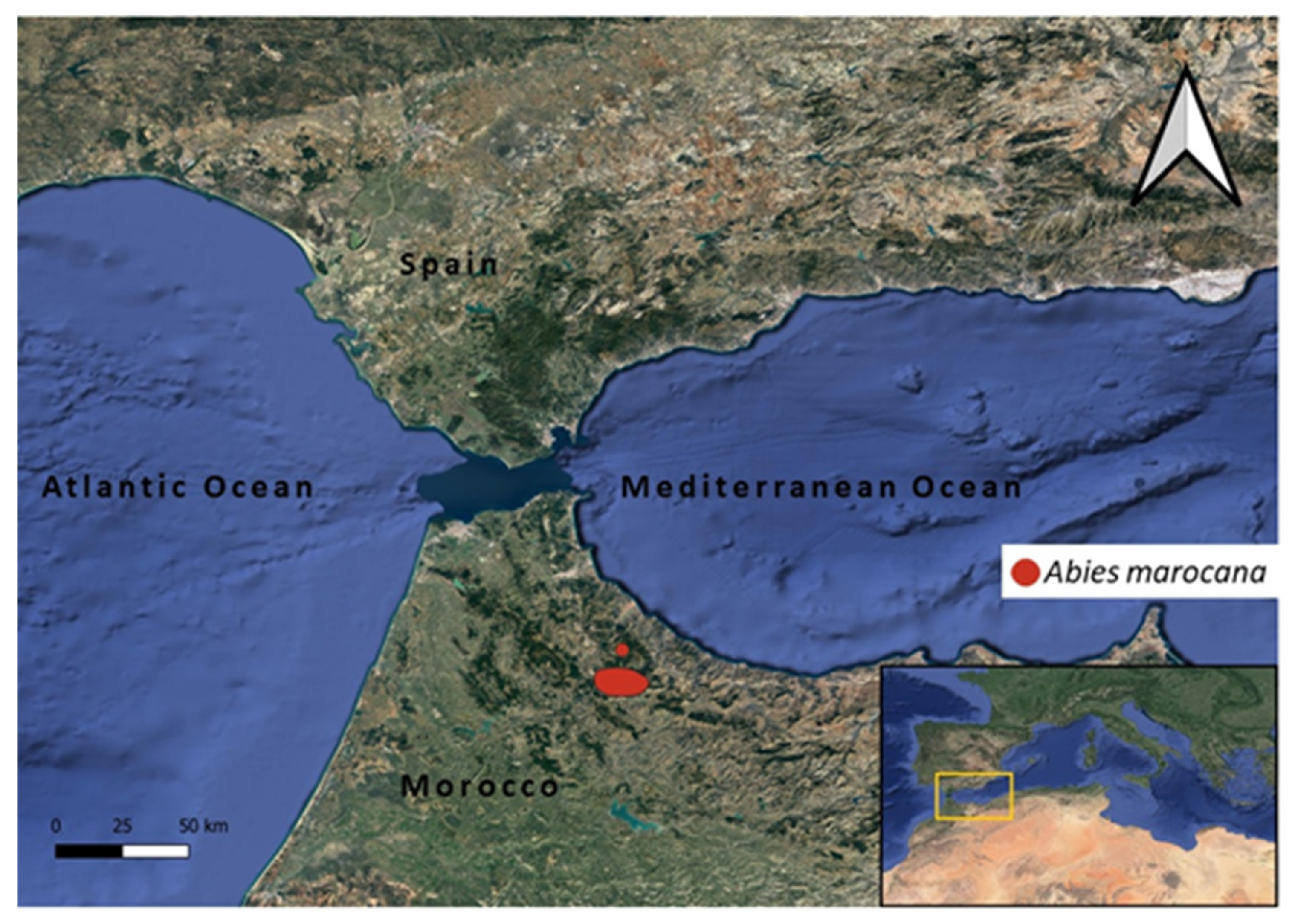 Plants 10 02606 g005