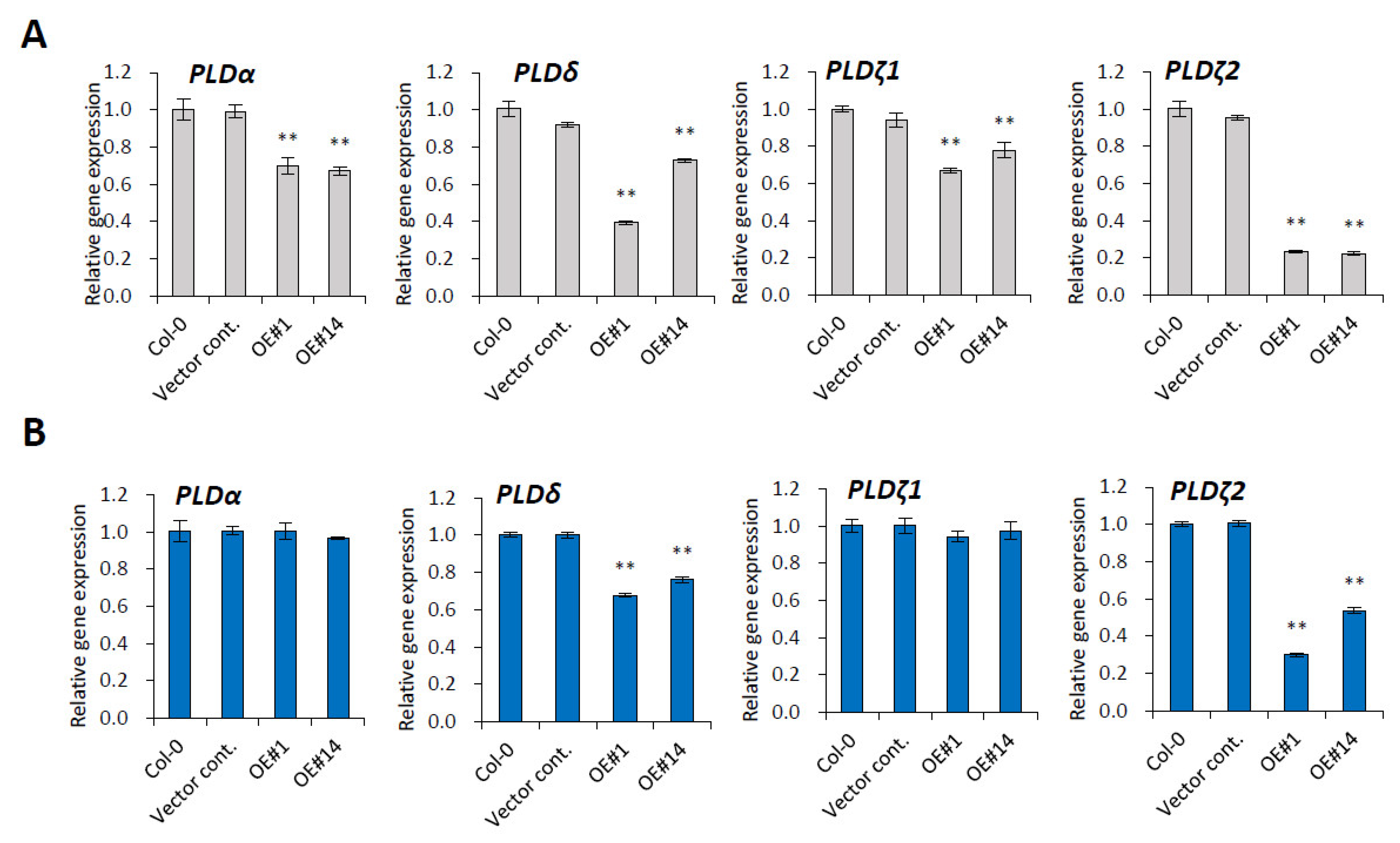 Plants 10 02615 g005