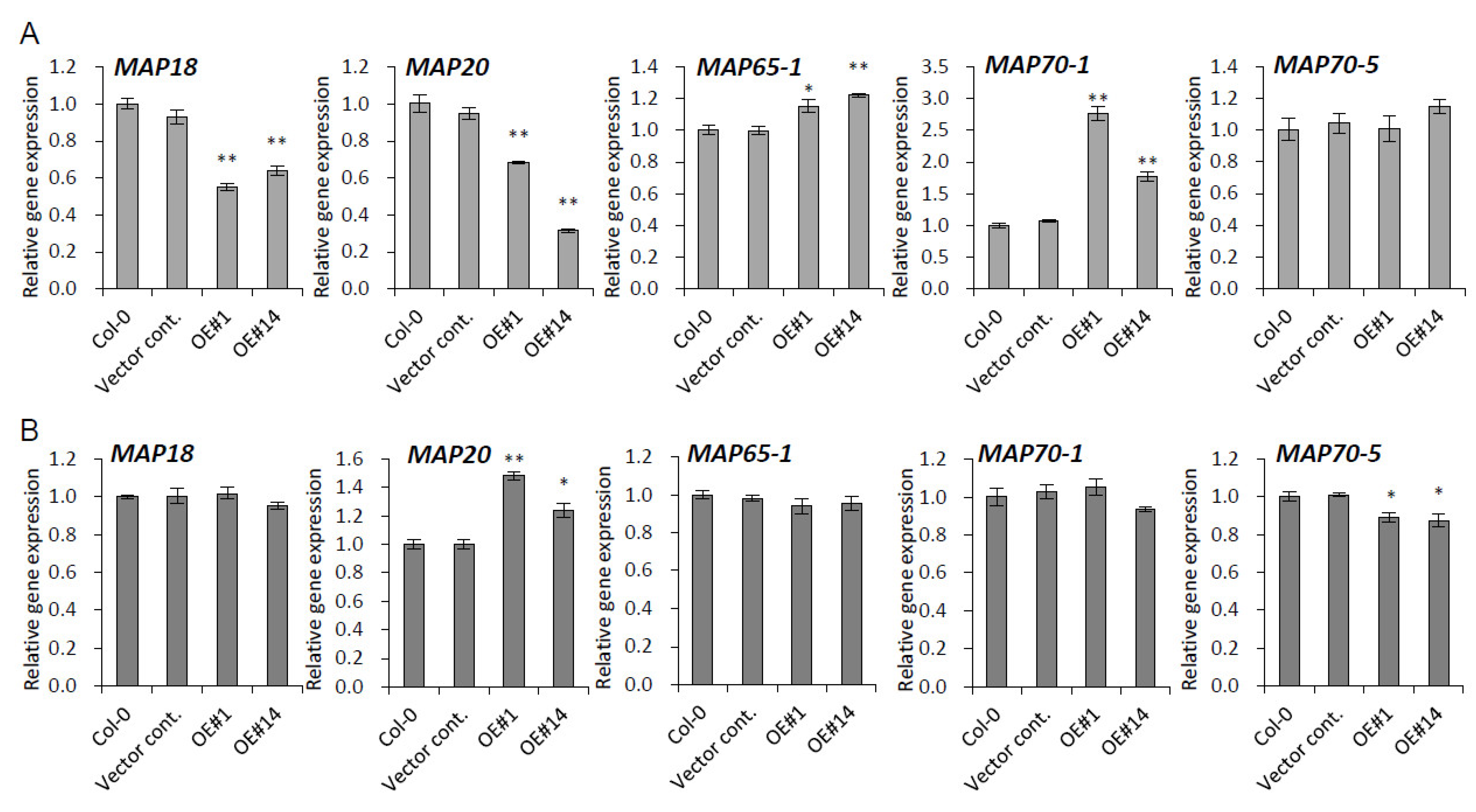 Plants 10 02615 g006