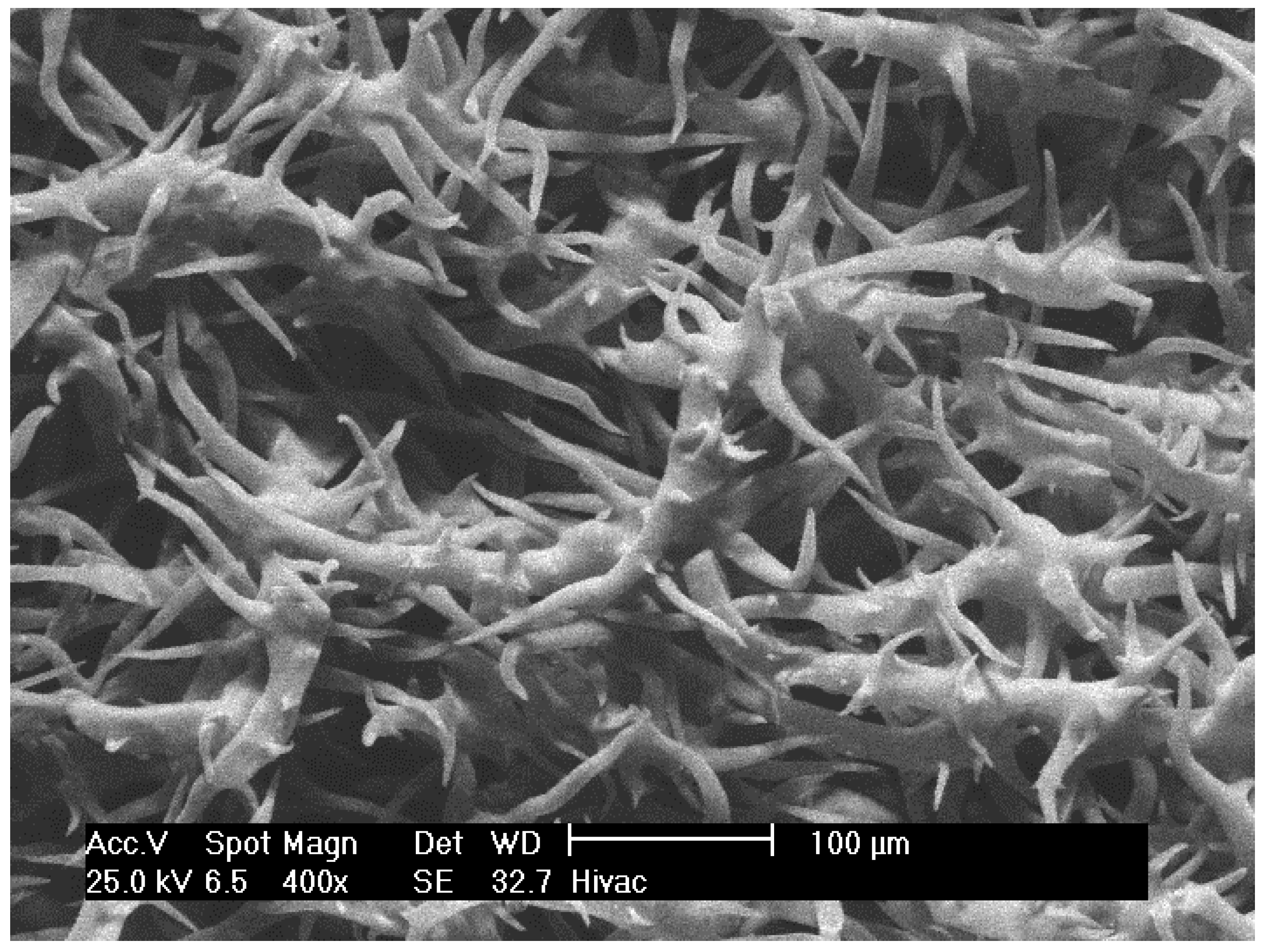 Plants 10 02618 g009