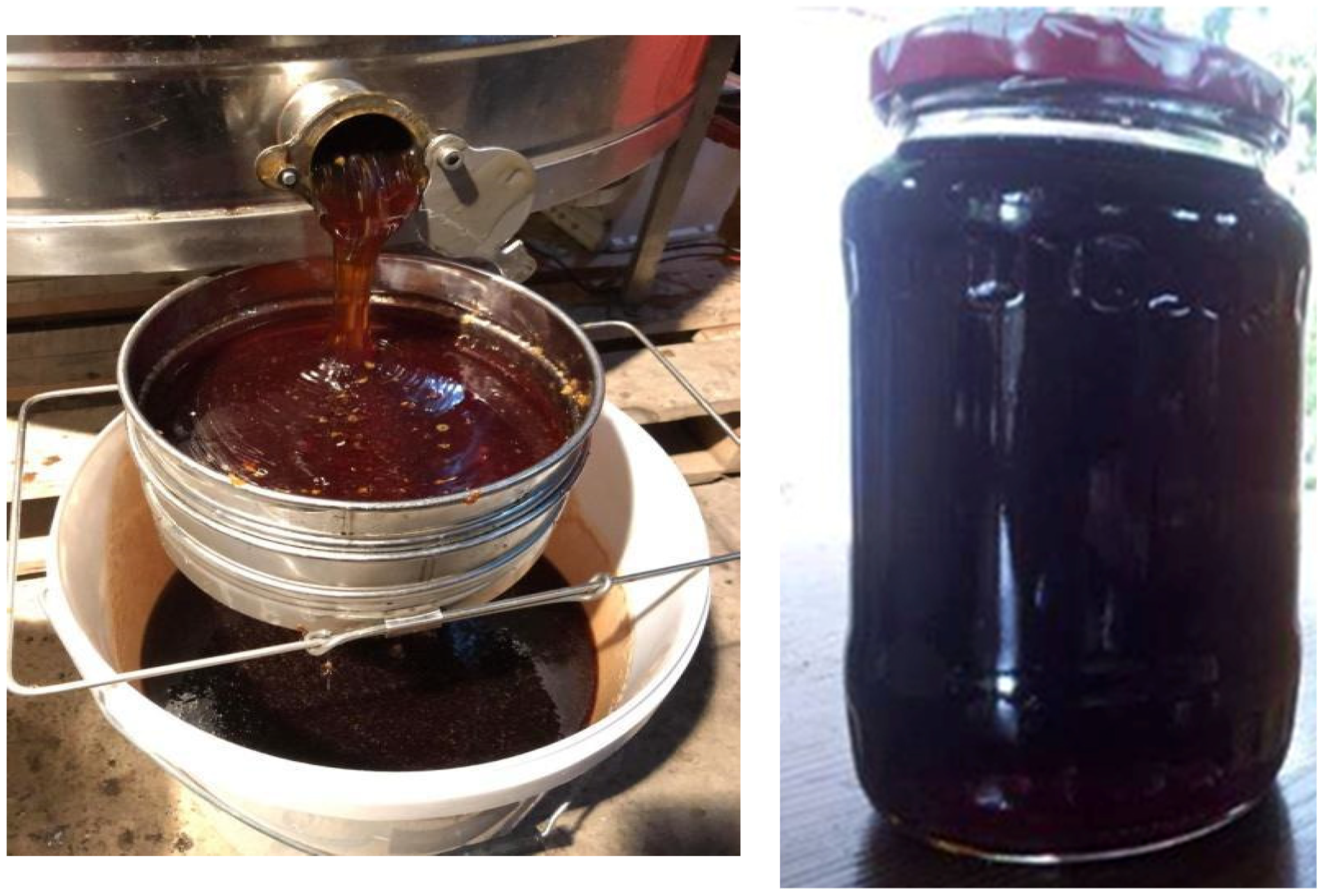 Plants 10 02621 g002