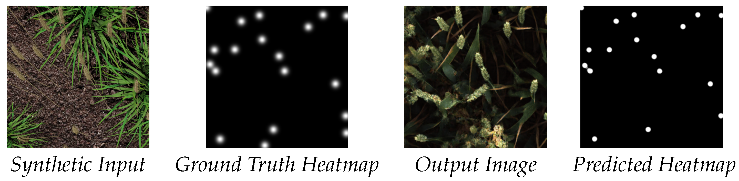 Plants 10 02633 g003