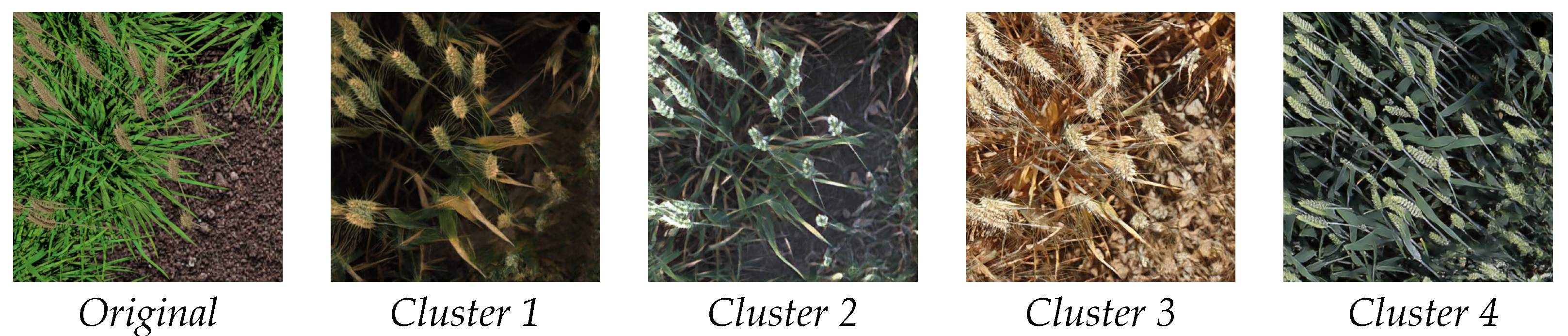 Plants 10 02633 g004