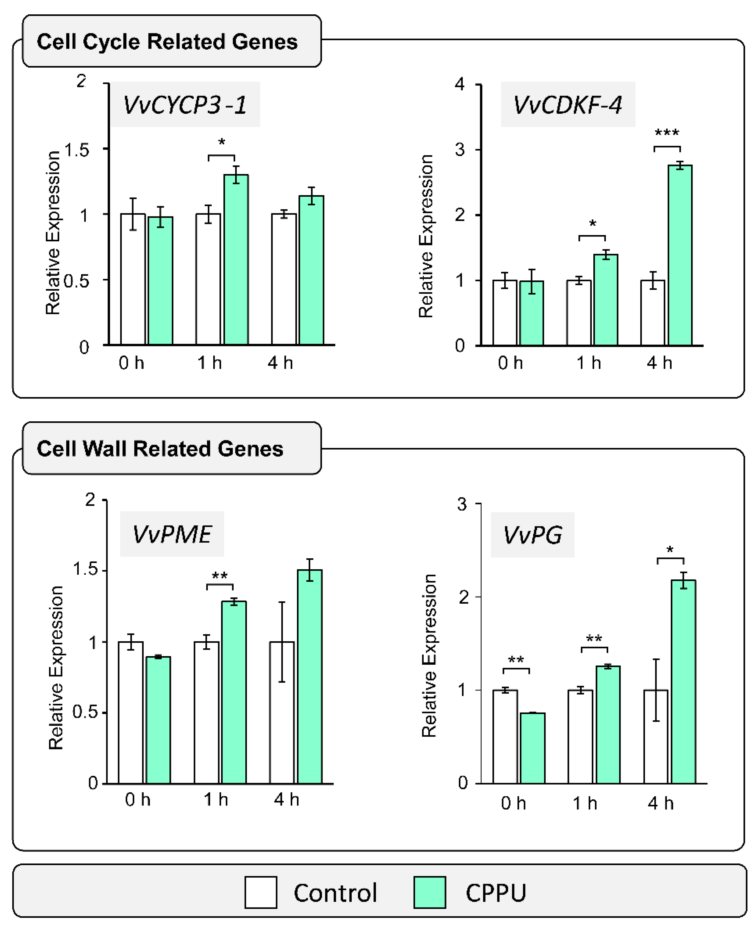 Plants 10 02642 g001