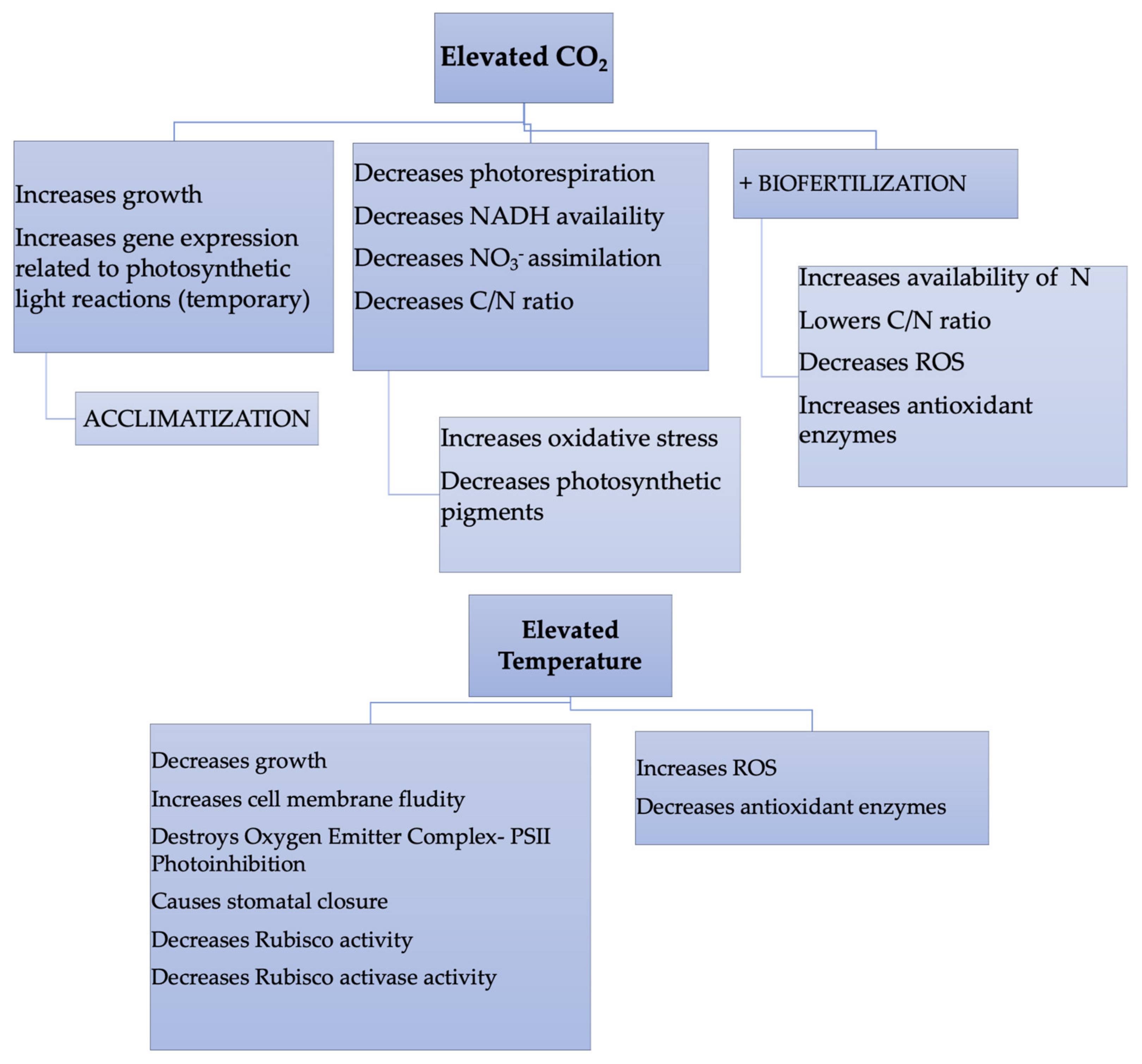Plants 10 02646 g002