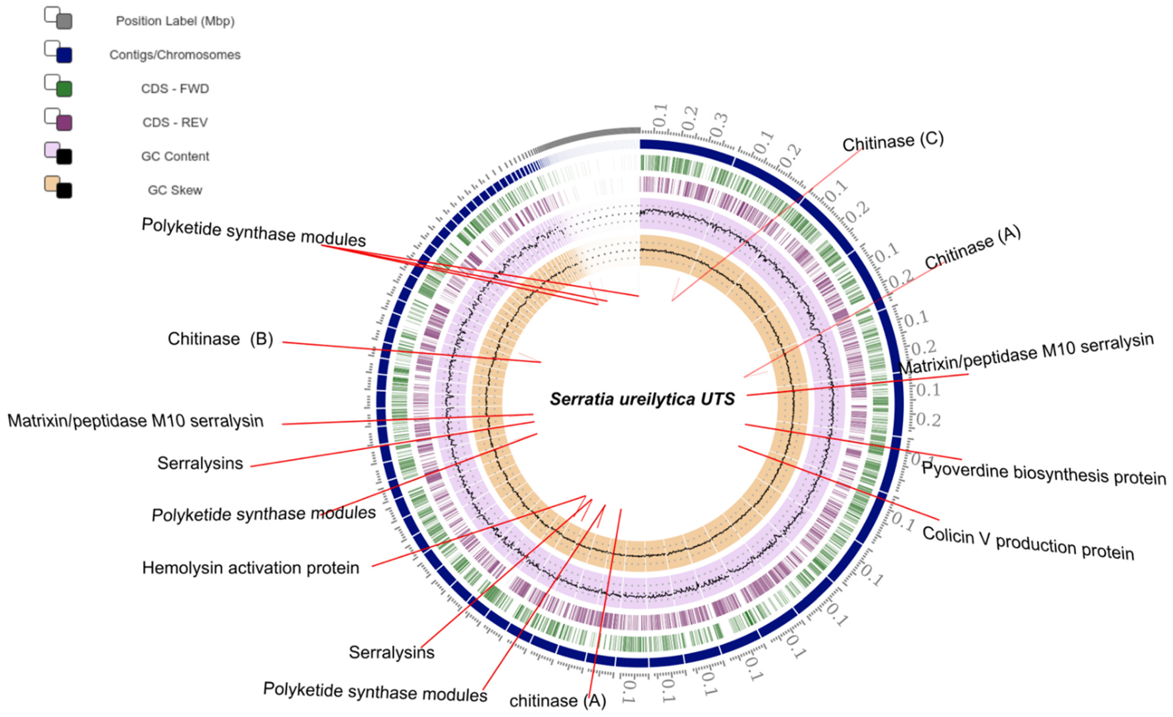 Plants 10 02655 g003