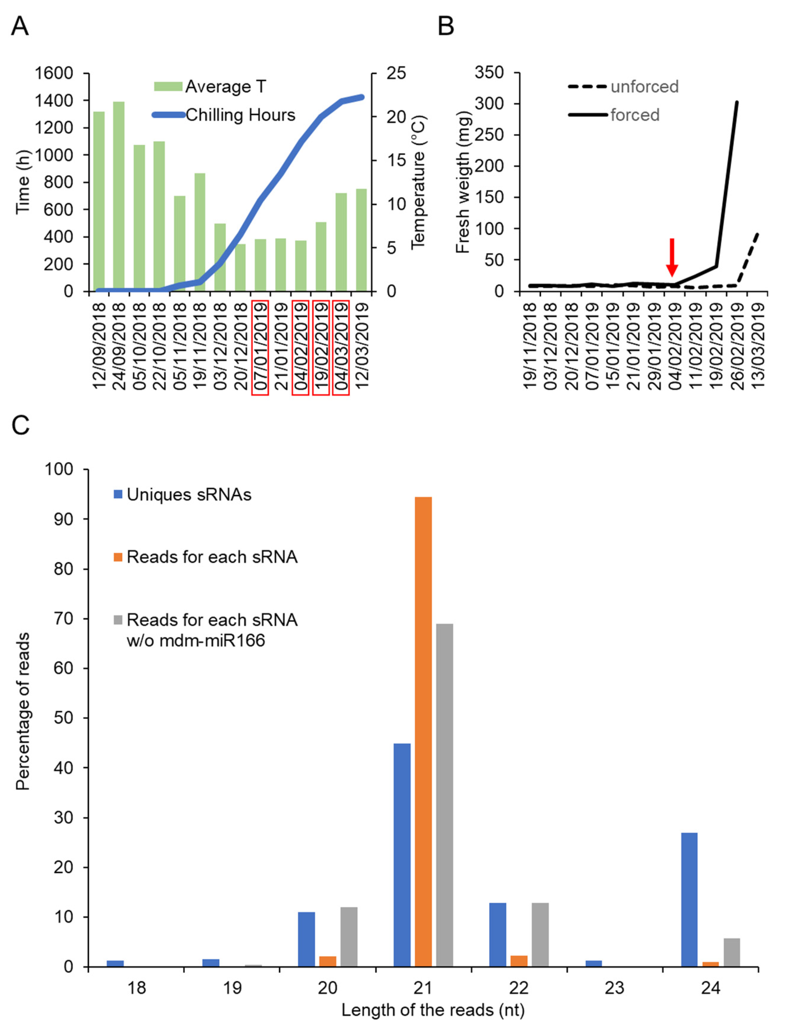 Plants 10 02665 g001