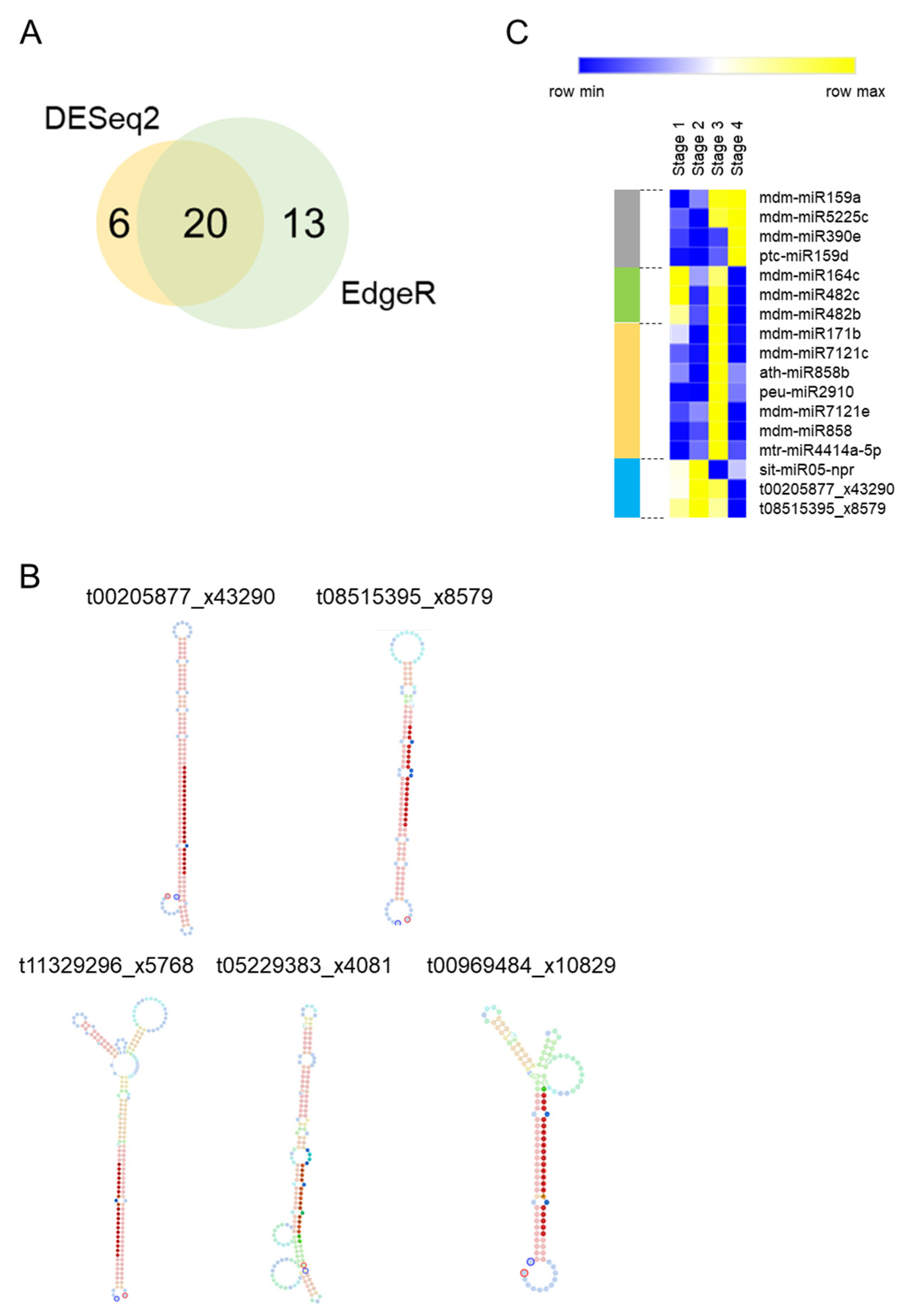 Plants 10 02665 g002