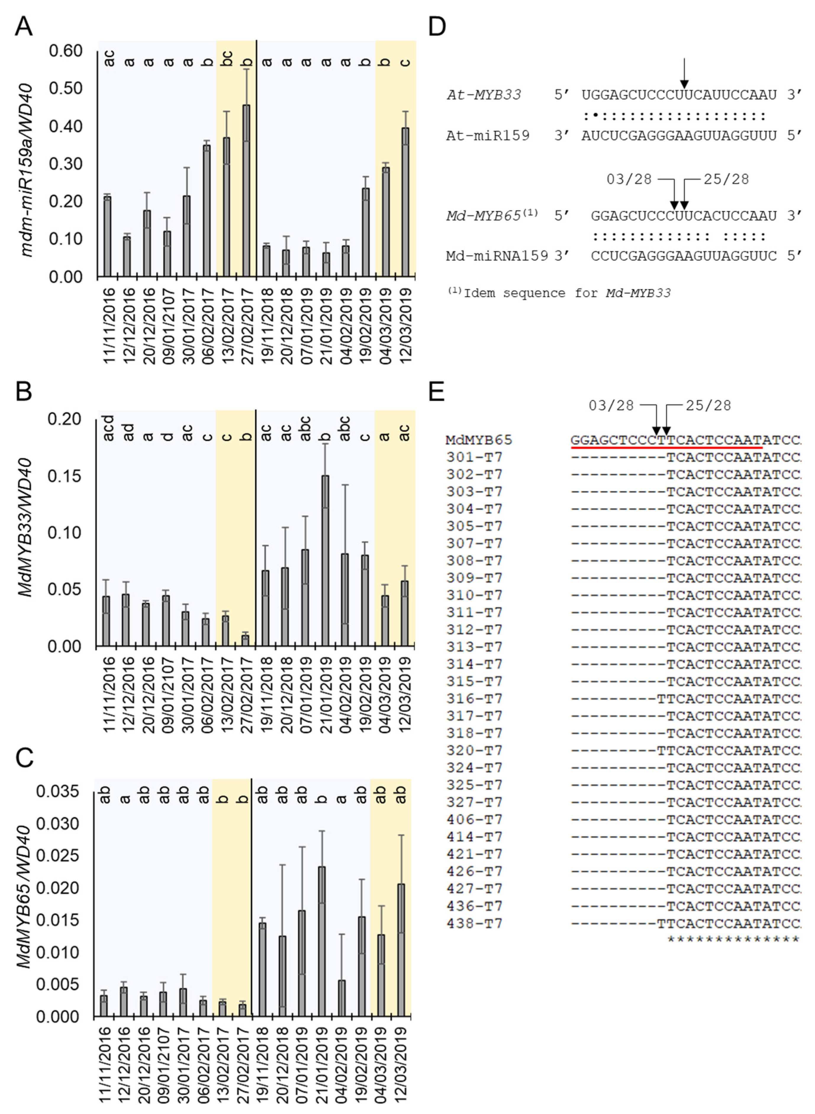 Plants 10 02665 g004