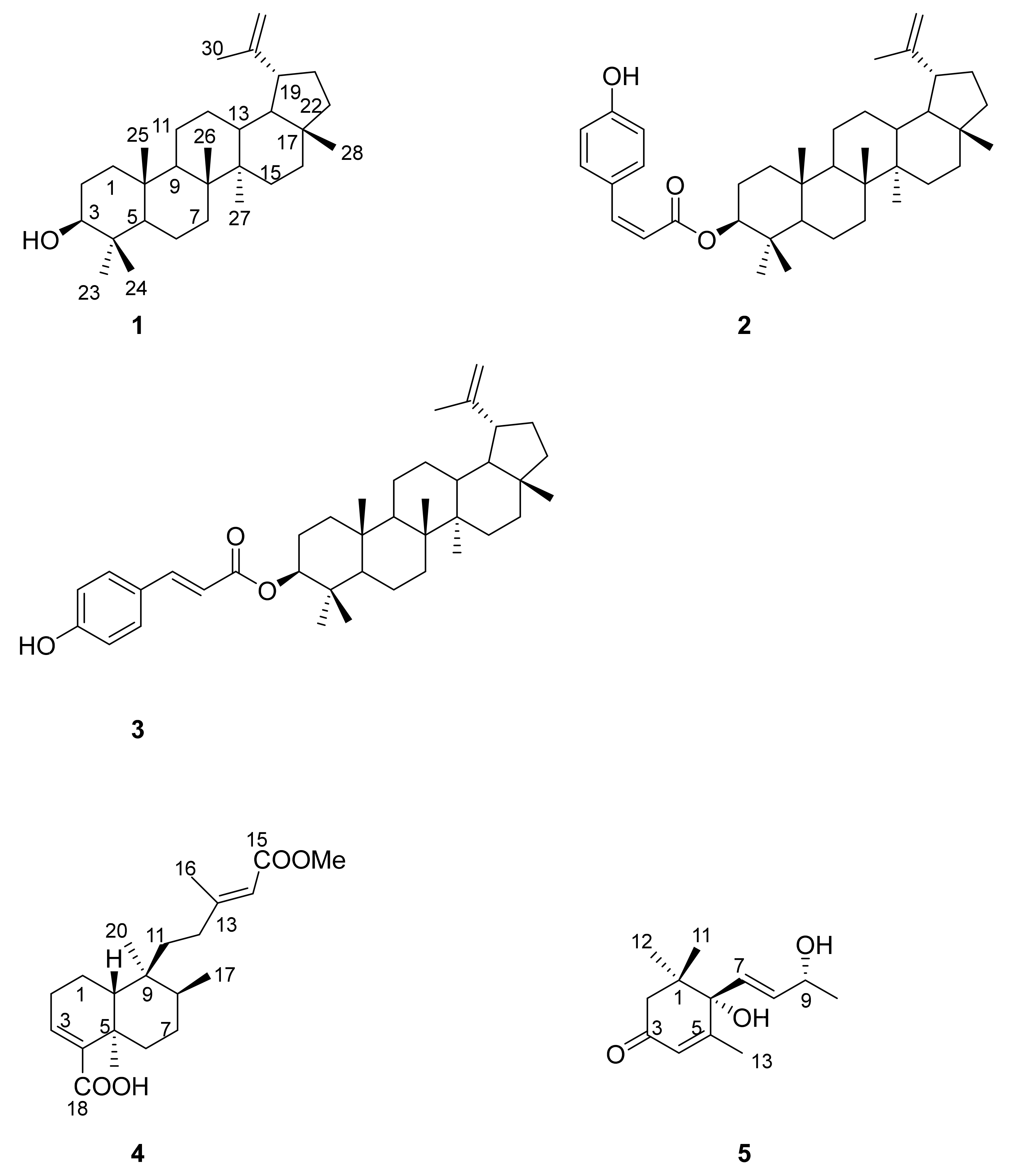 Plants 10 02698 g001