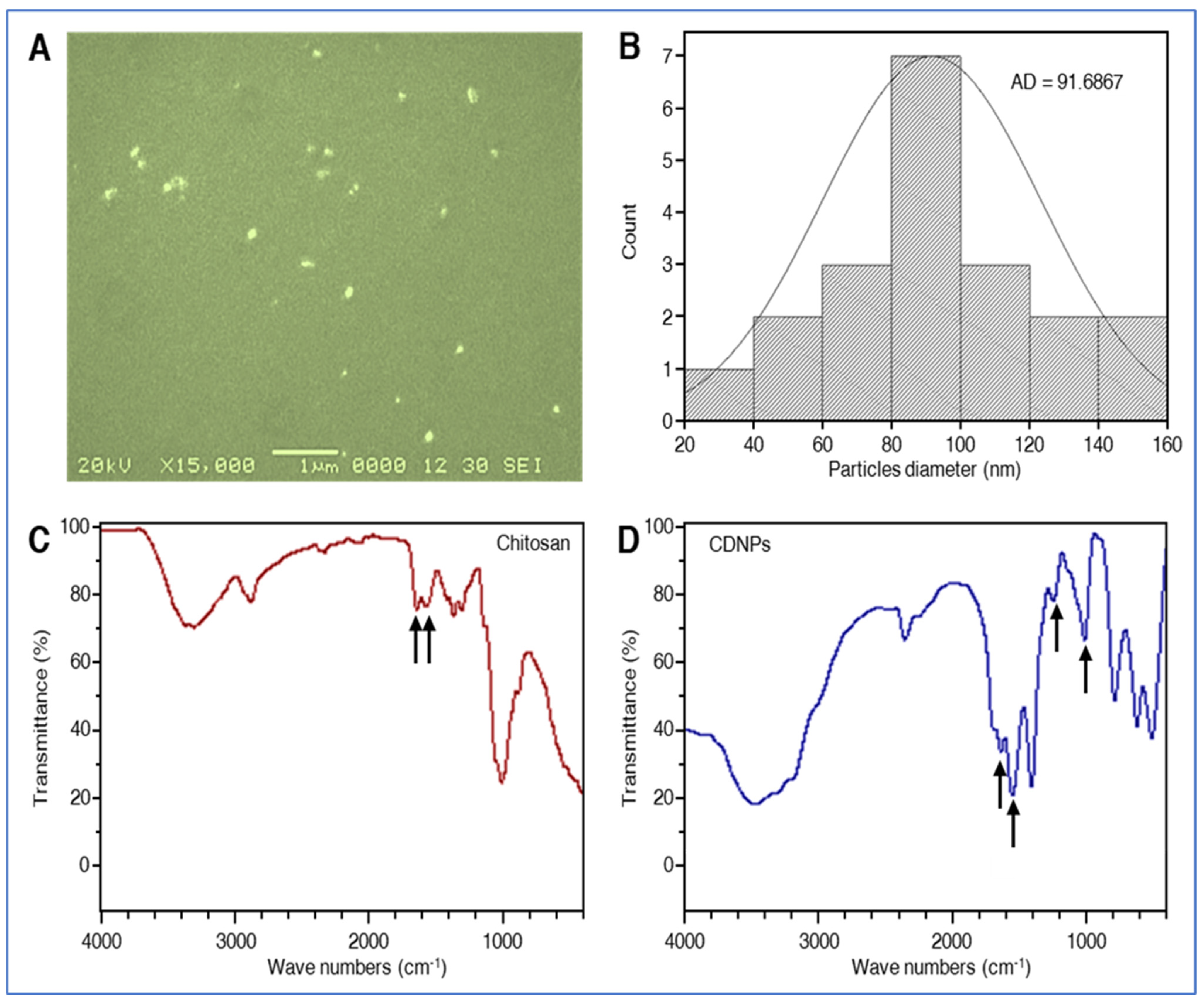 Plants 10 02701 g001 Plants 10 02701 g001