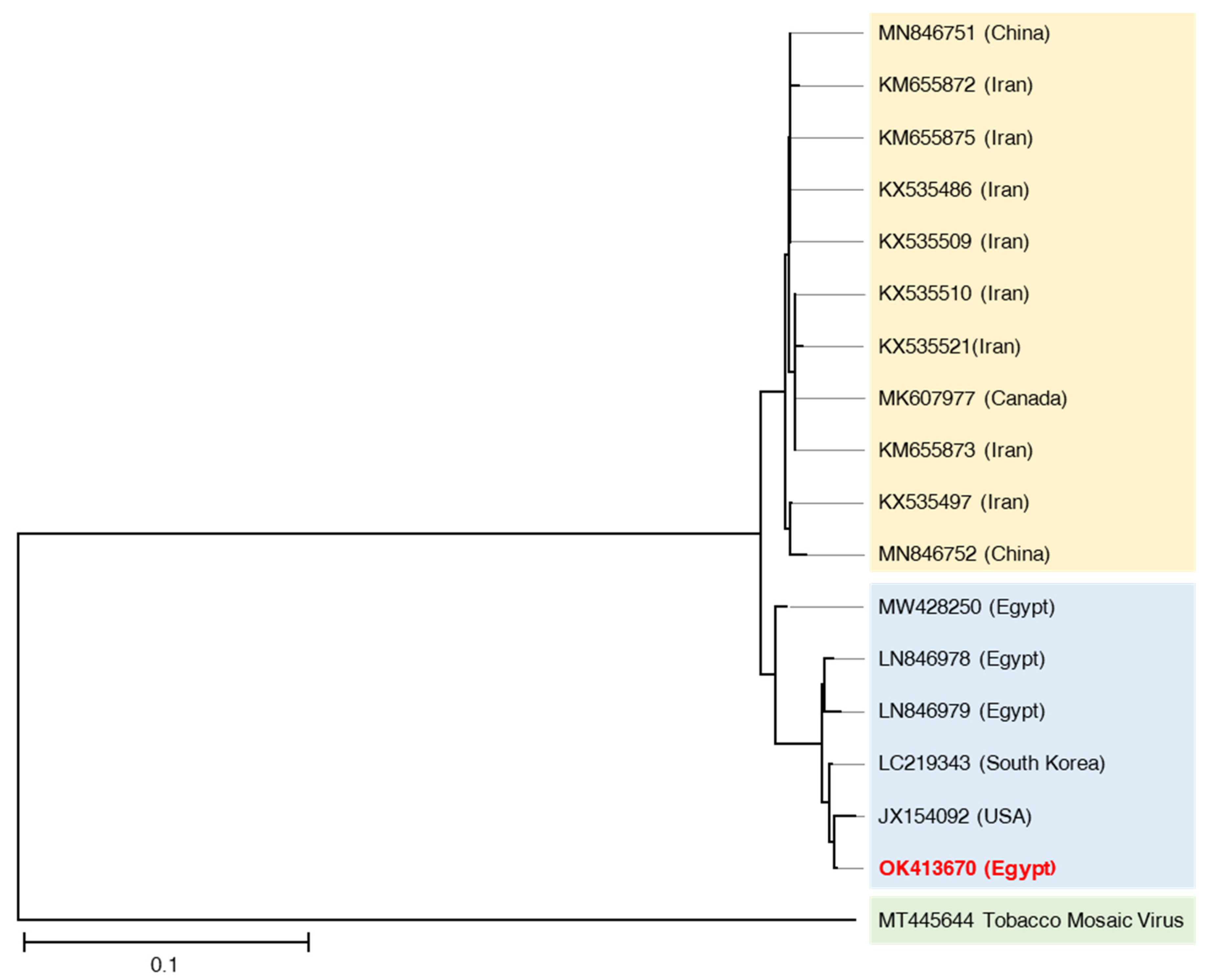 Plants 10 02701 g003 Plants 10 02701 g003