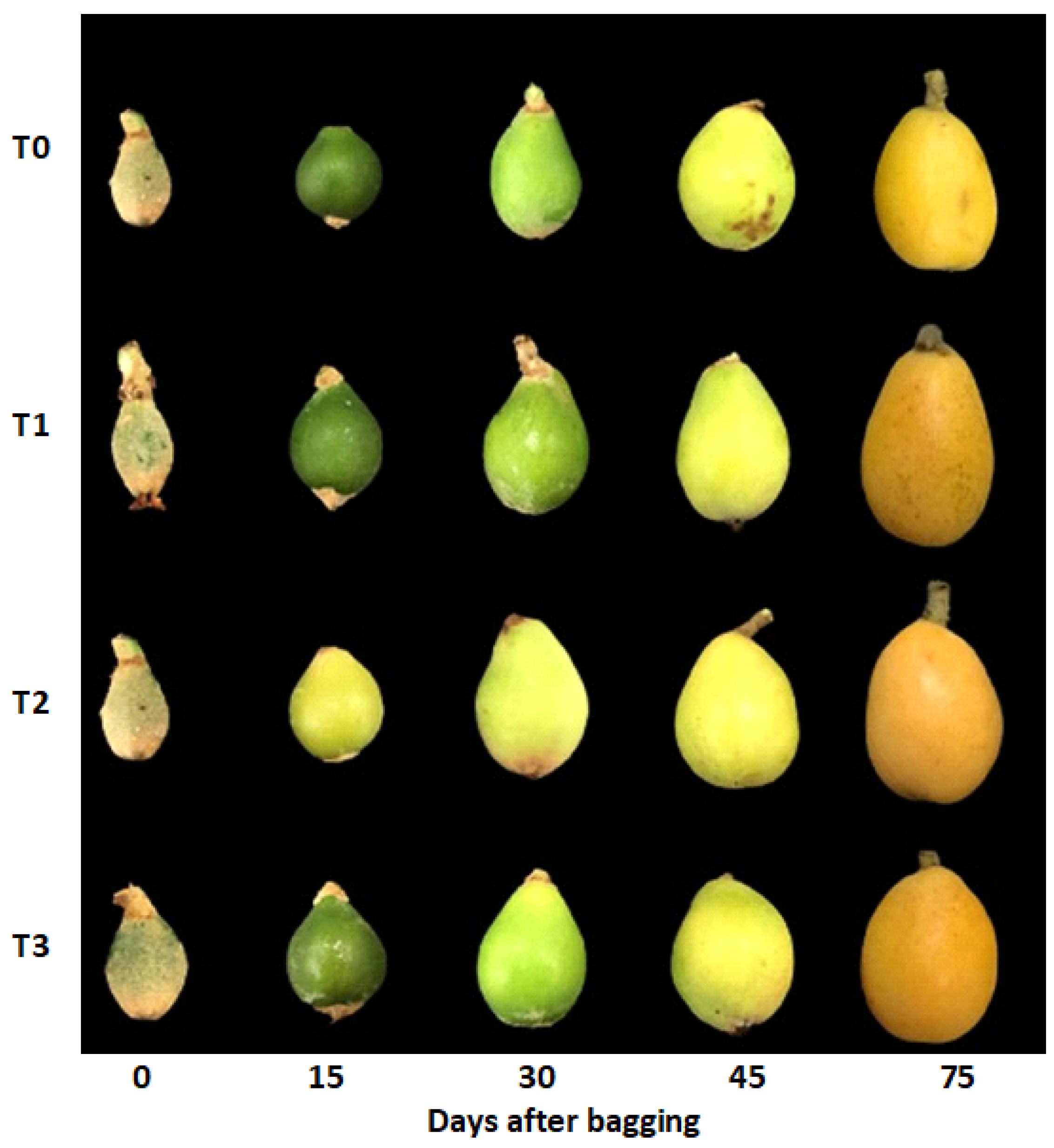 Plants 10 02704 g009