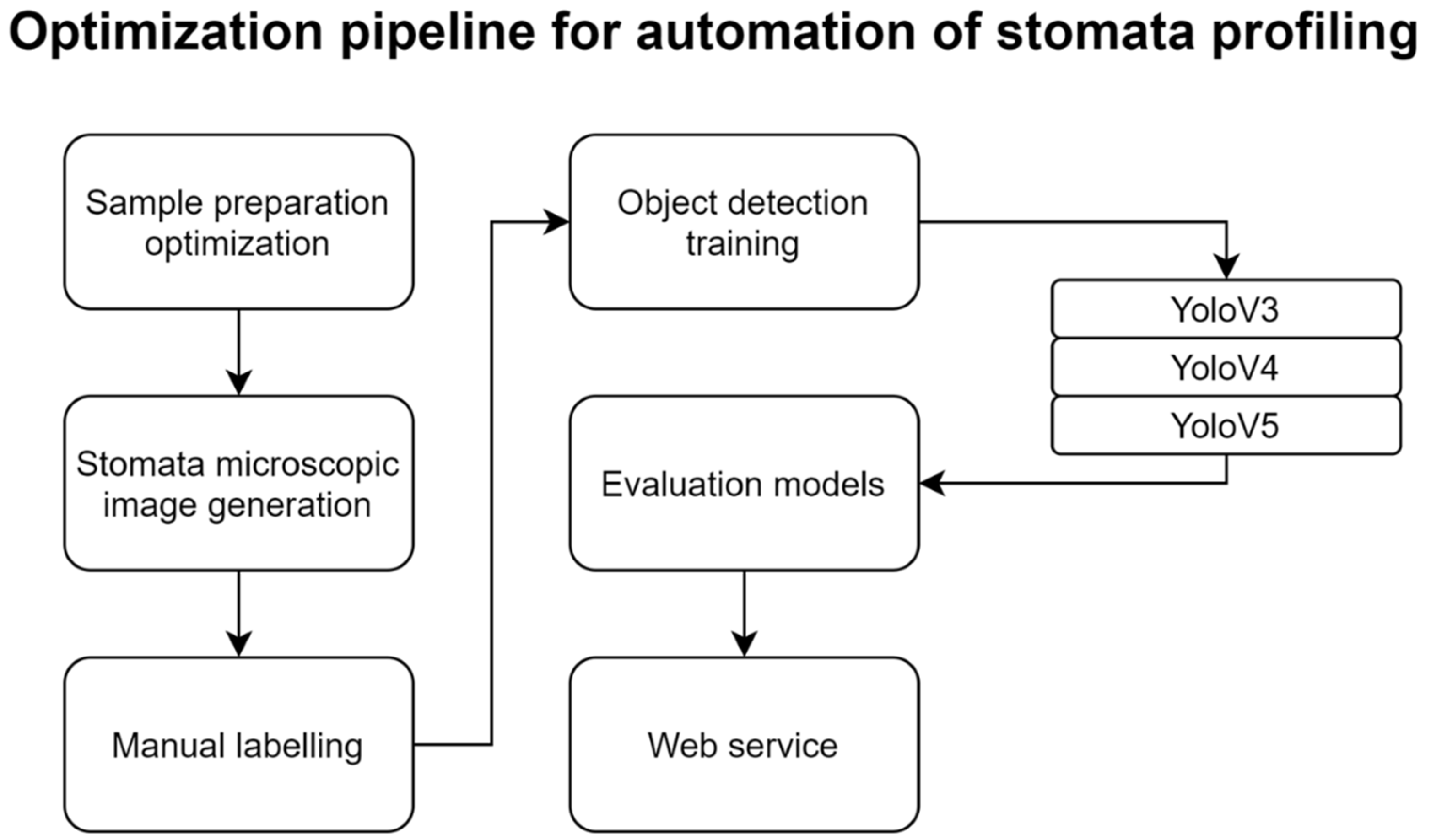 Plants 10 02714 g005