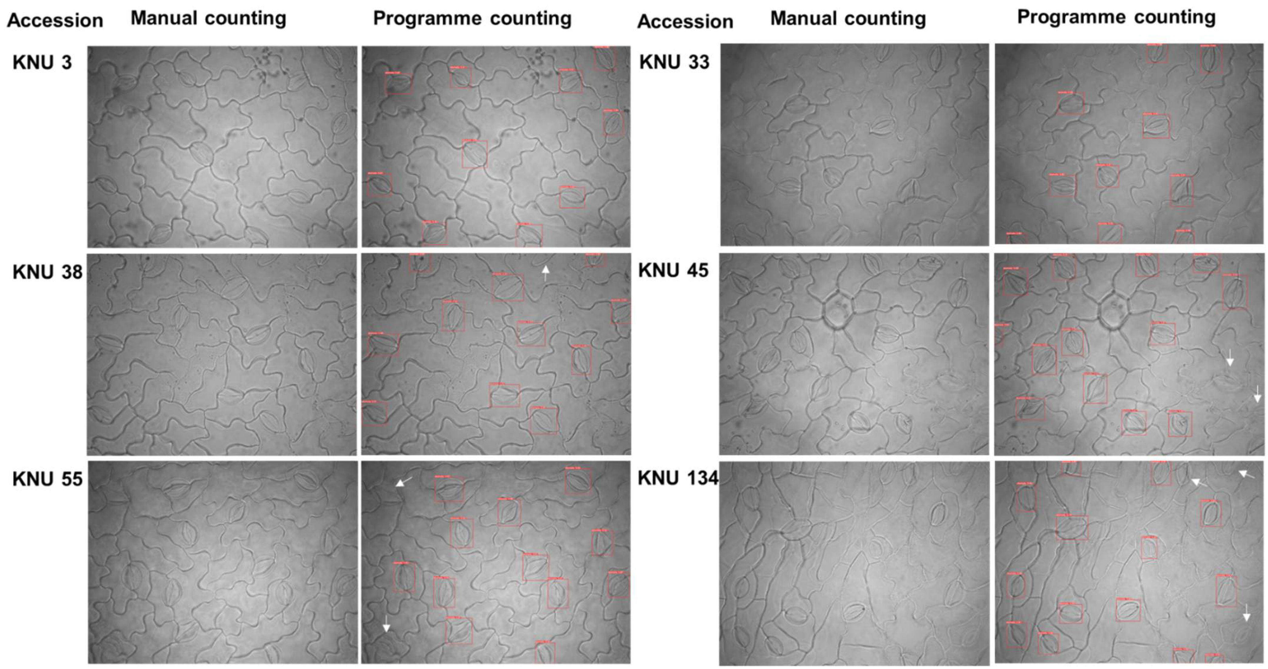 Plants 10 02714 g008
