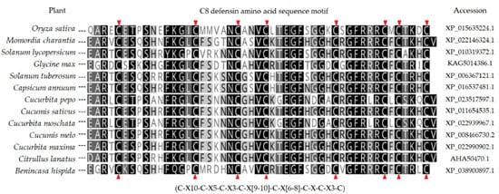 Plants 10 02718 g0a1 550