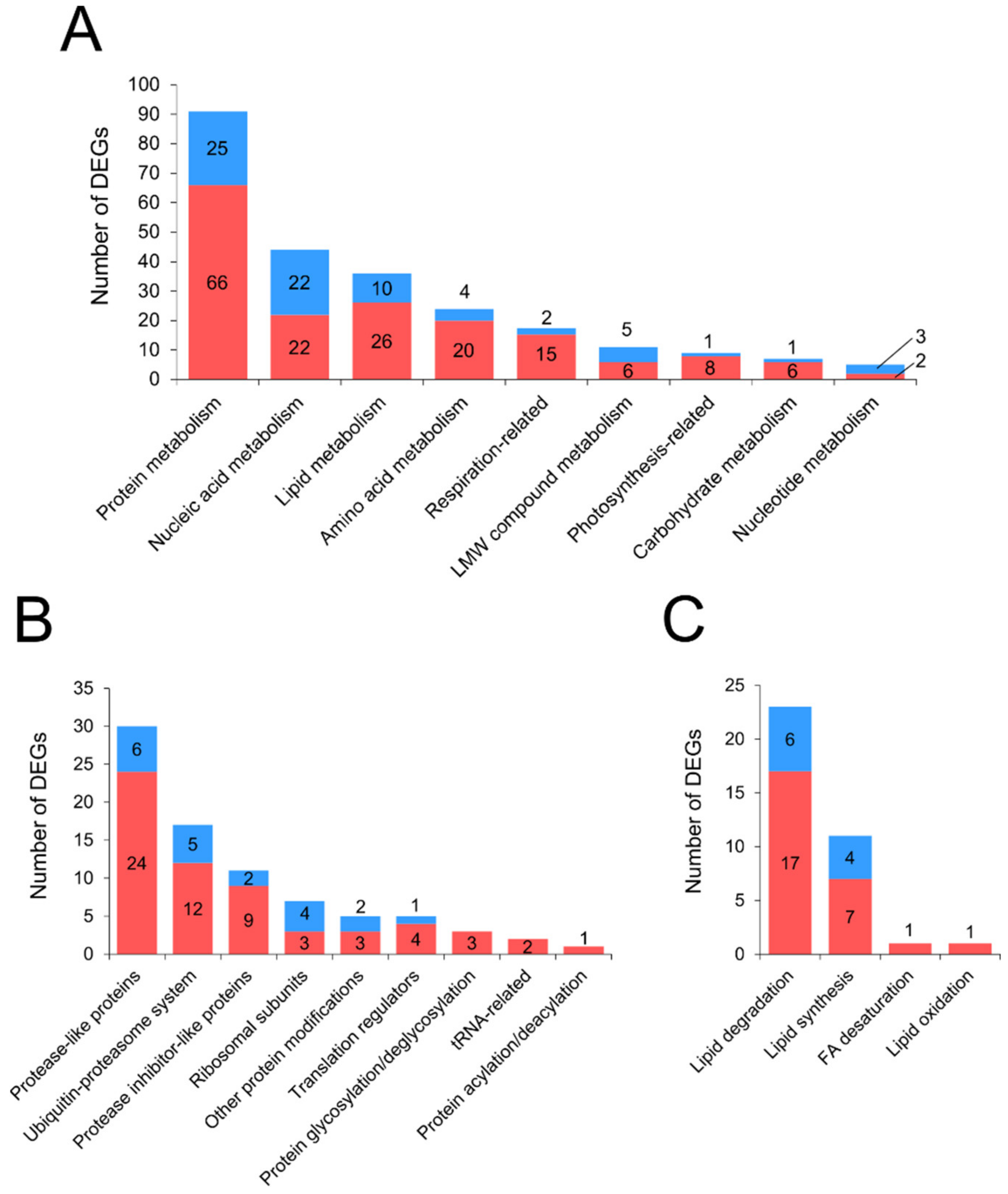 Plants 10 02723 g001