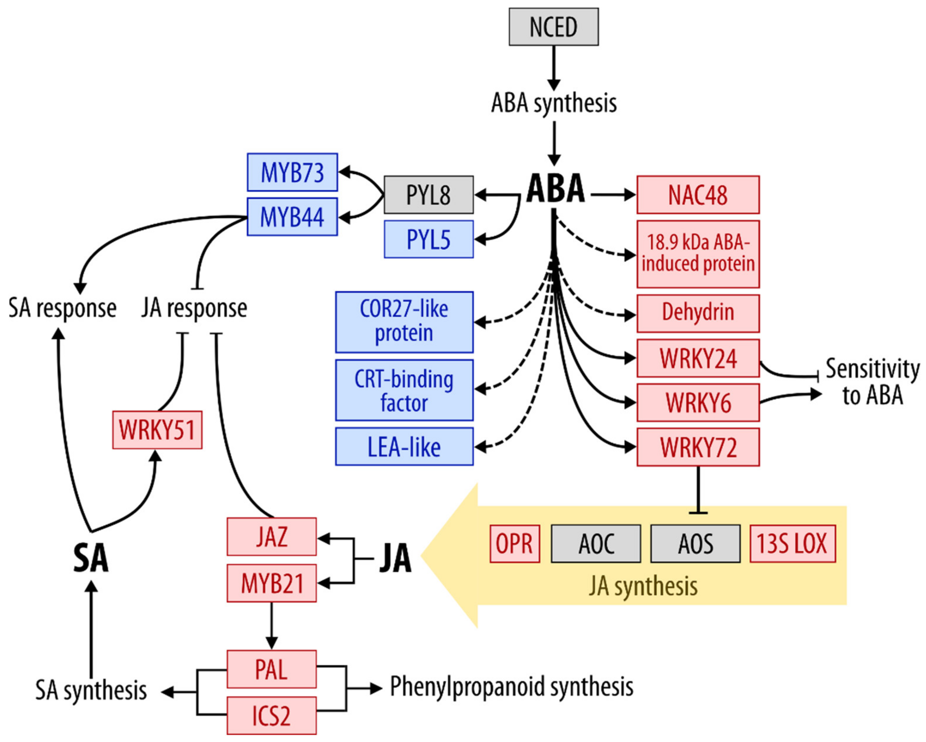 Plants 10 02723 g002