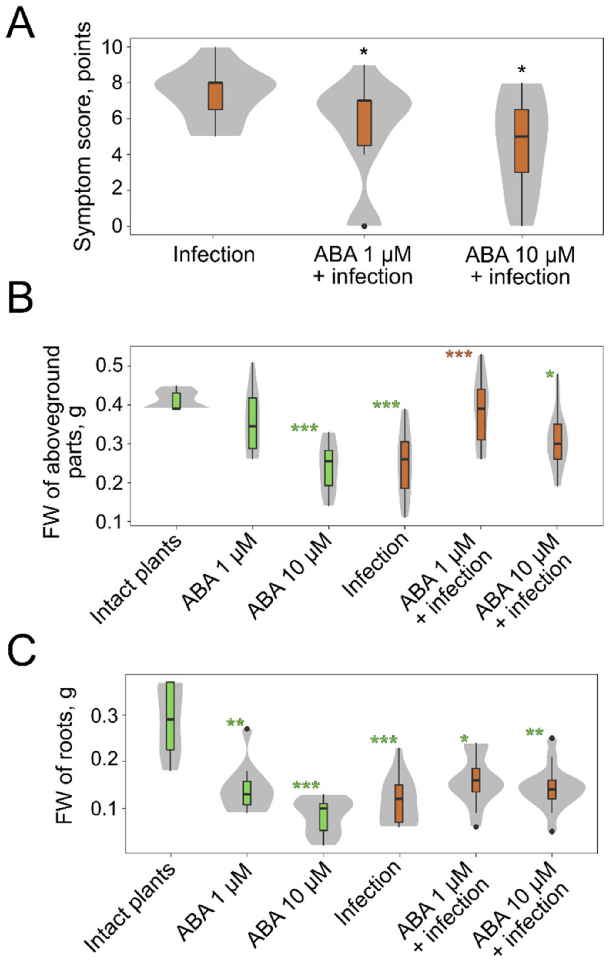 Plants 10 02723 g004