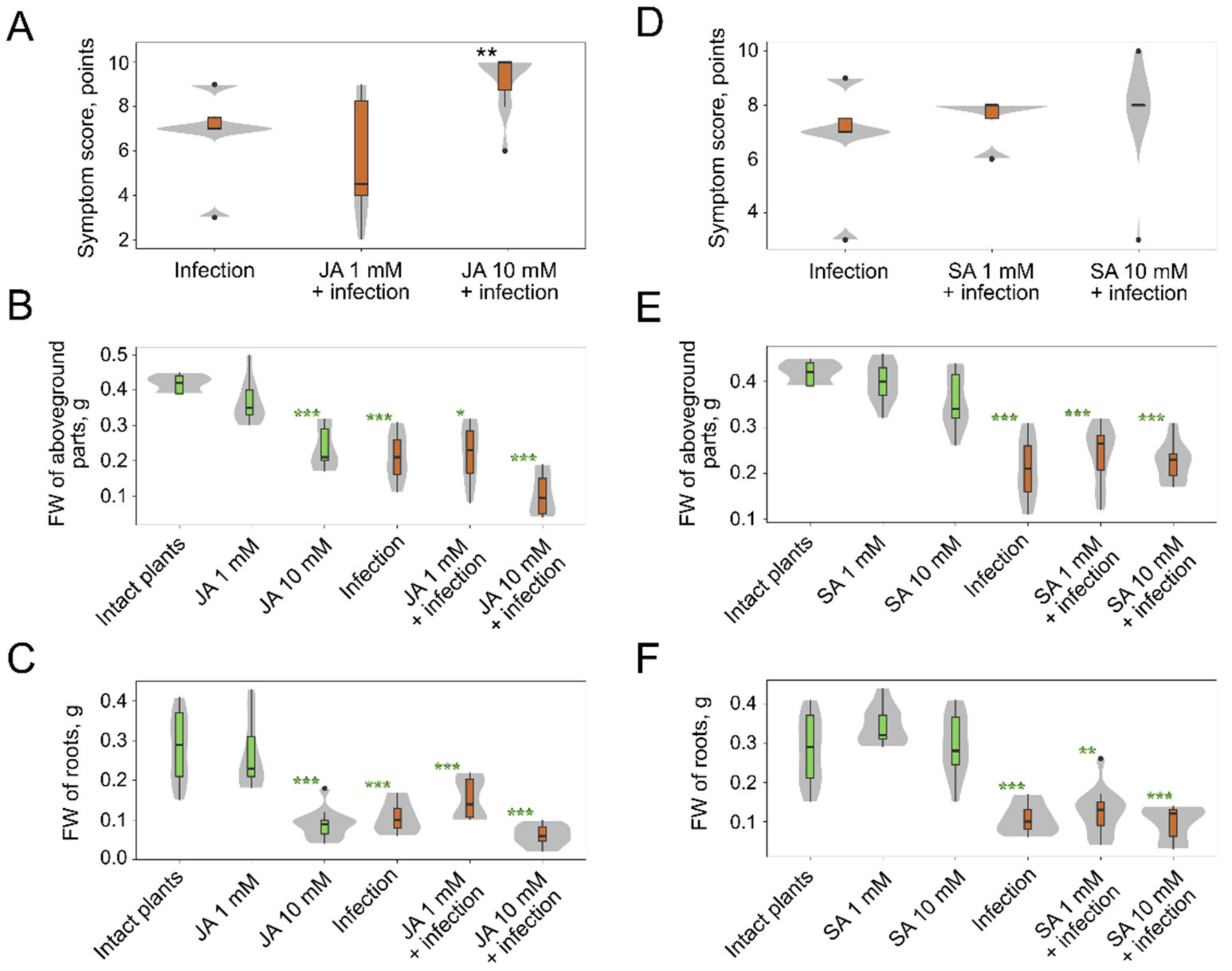 Plants 10 02723 g005