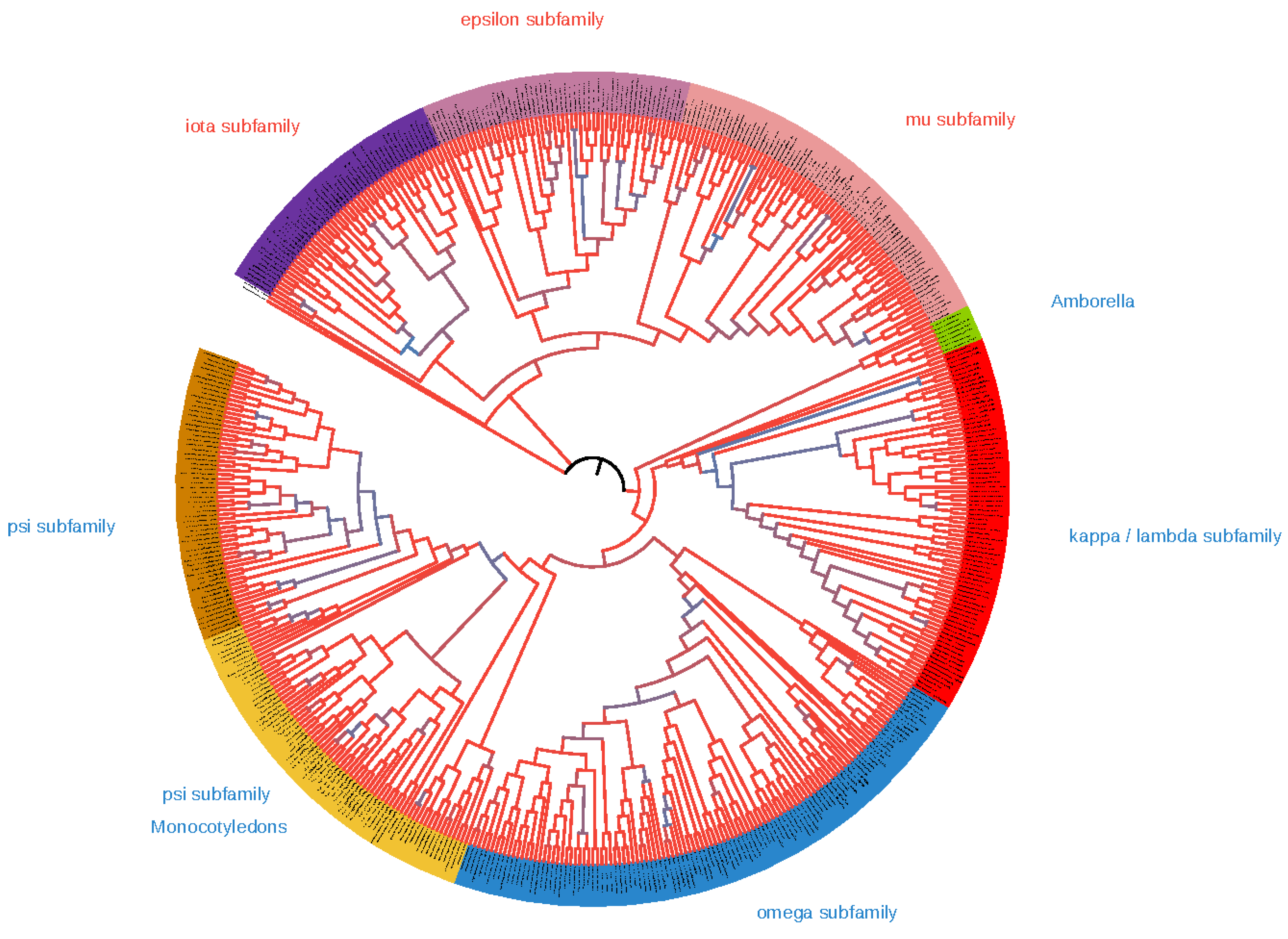 Plants 10 02724 g001 Plants 10 02724 g001