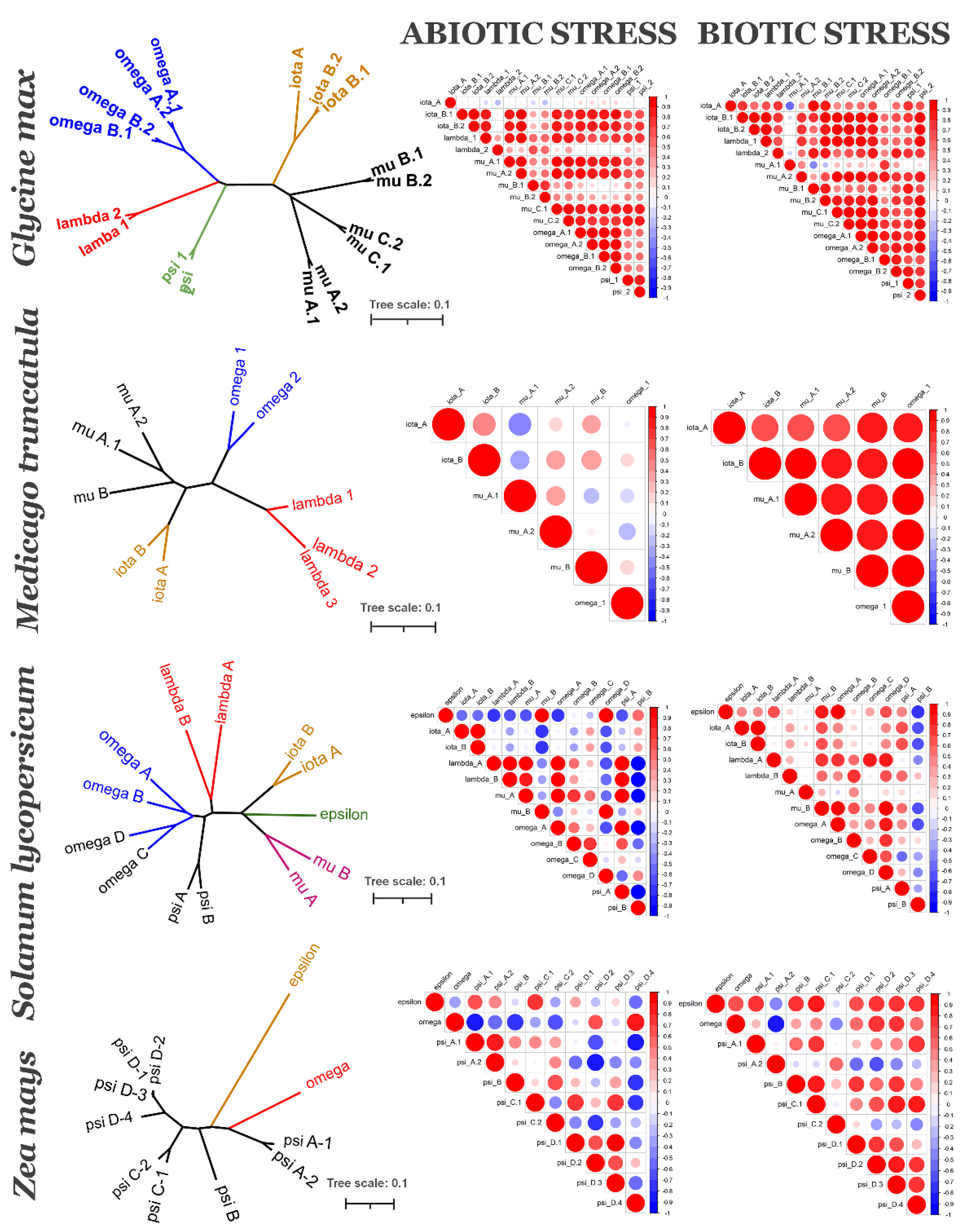 Plants 10 02724 g004 Plants 10 02724 g004