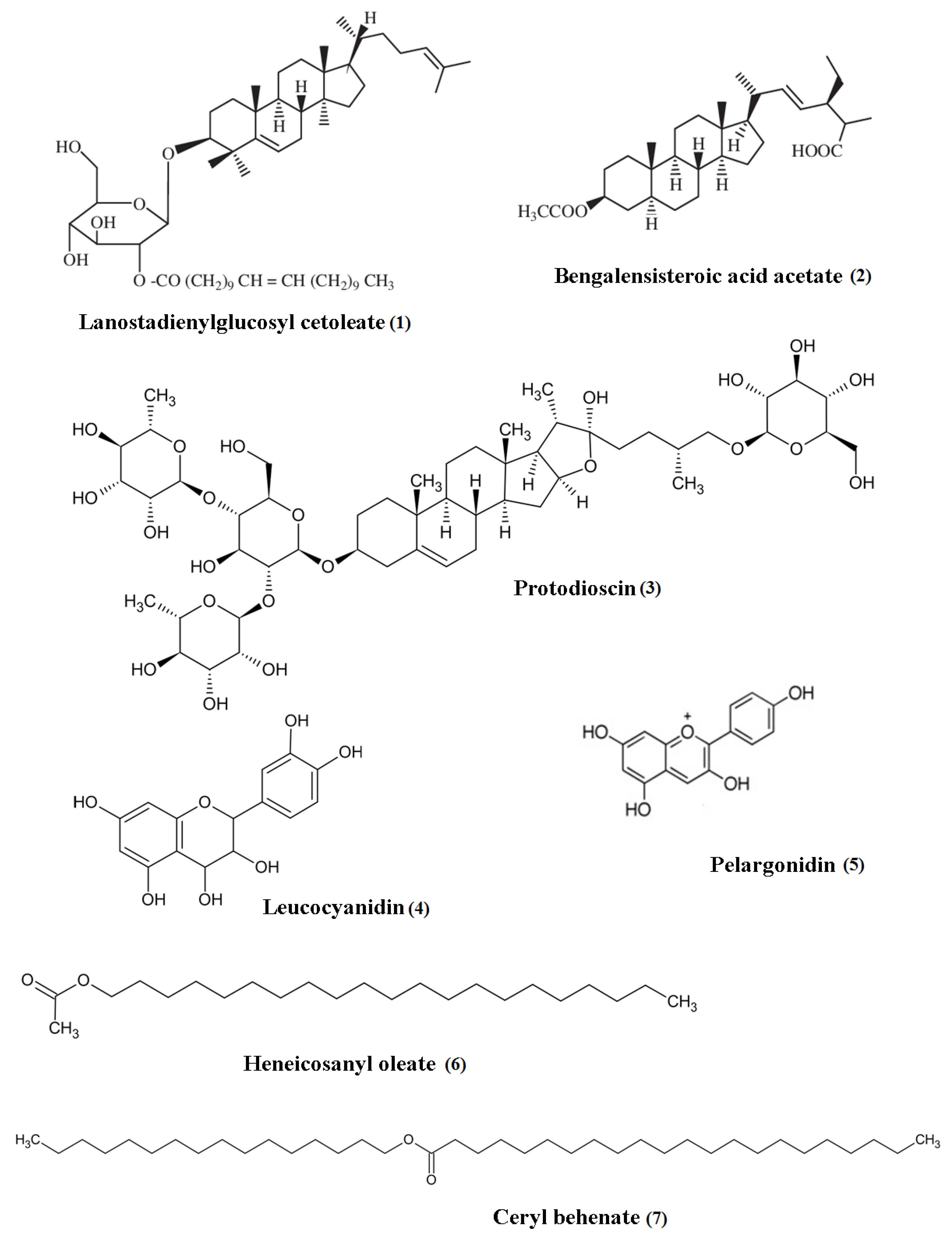 Plants 10 02749 g004