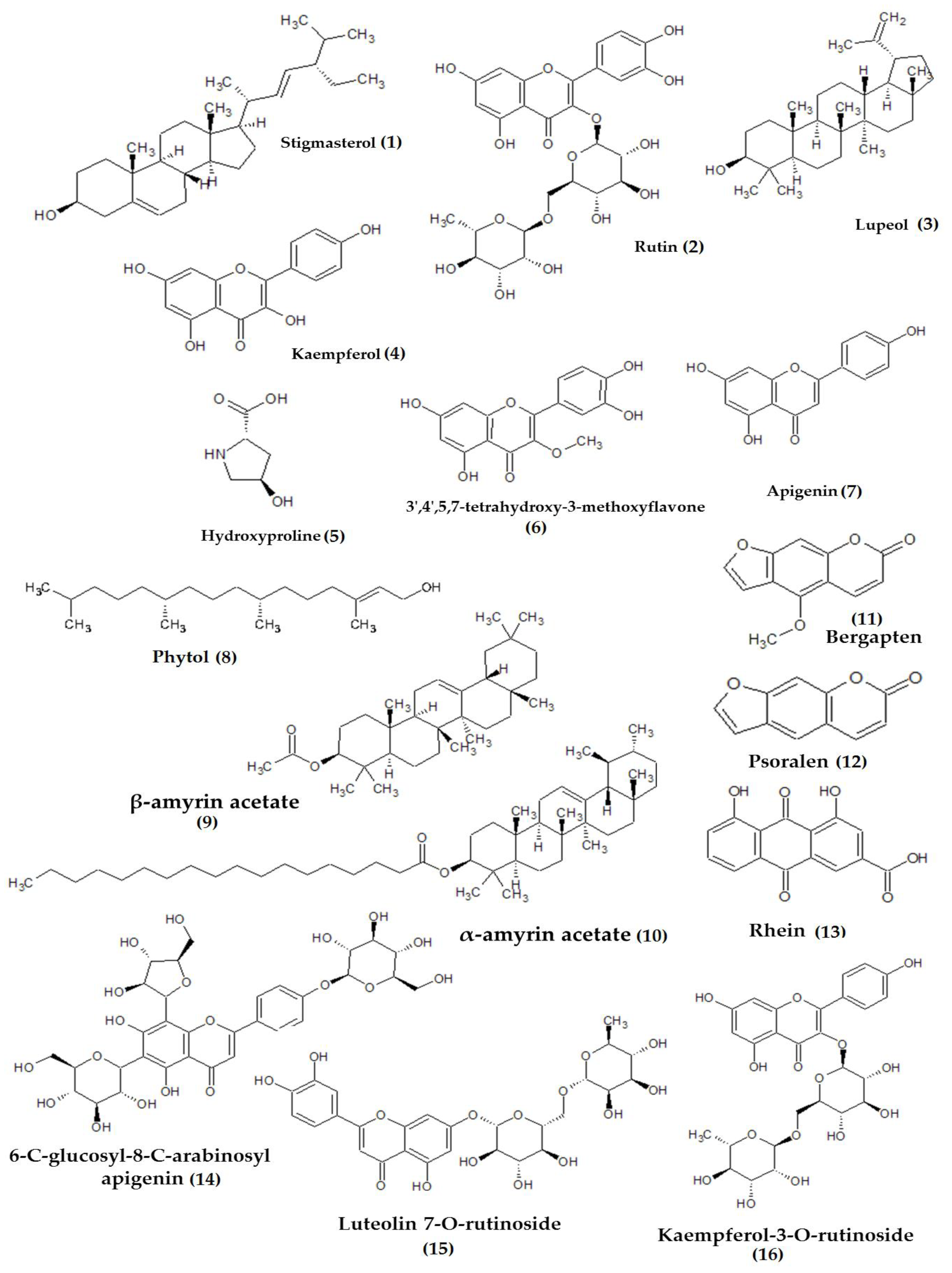 Plants 10 02749 g005