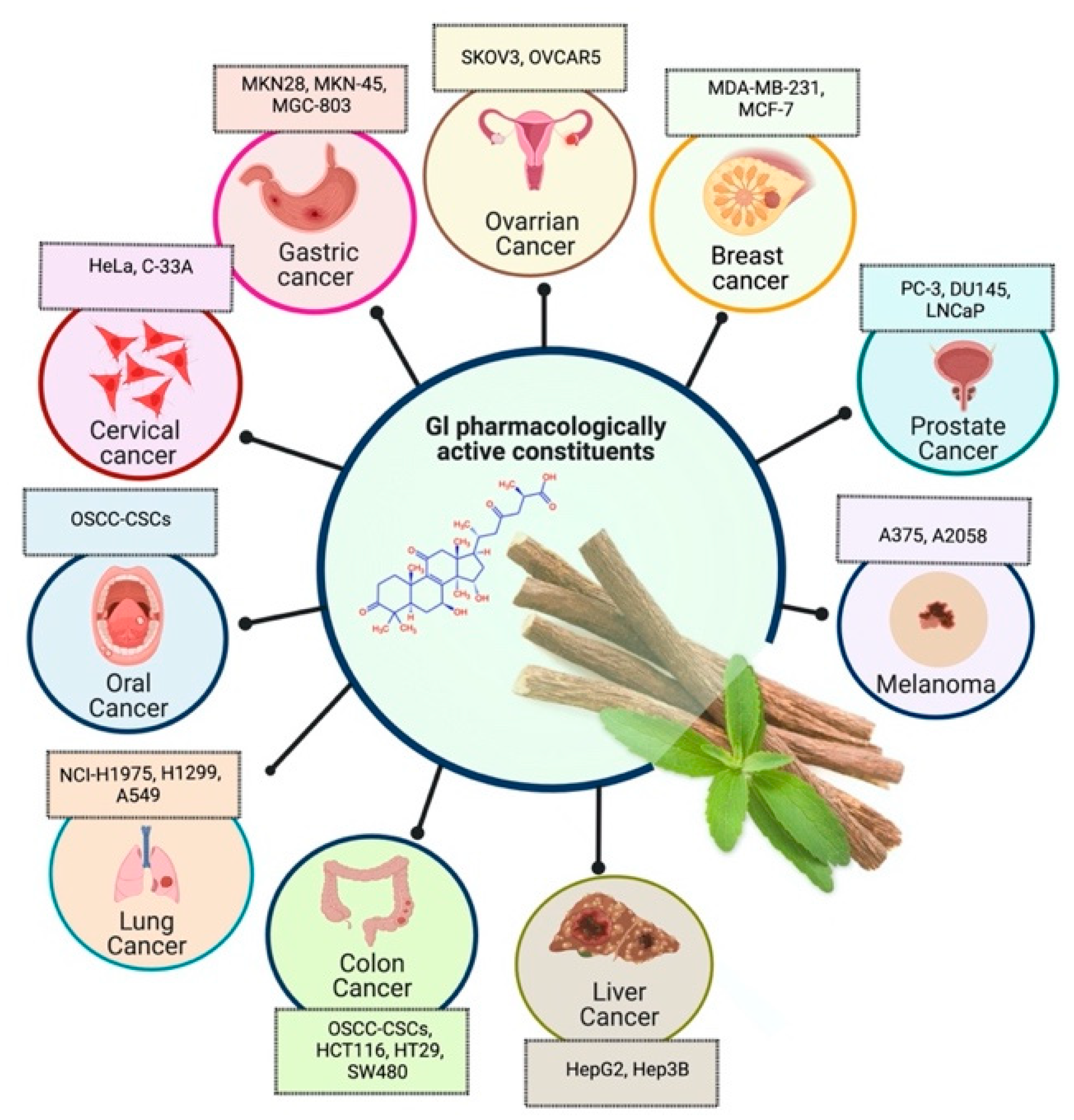 Plants 10 02751 g003