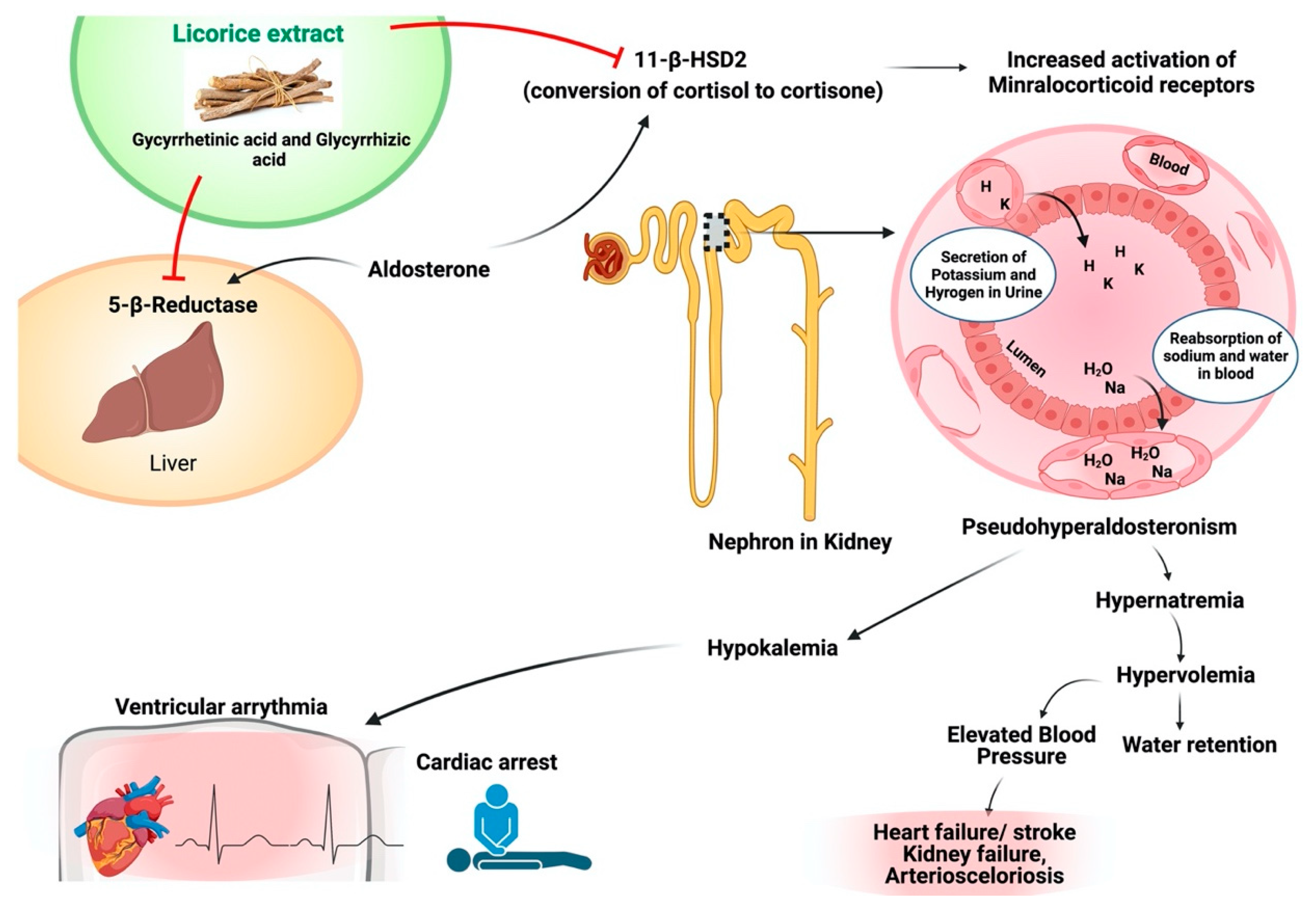 Plants 10 02751 g006