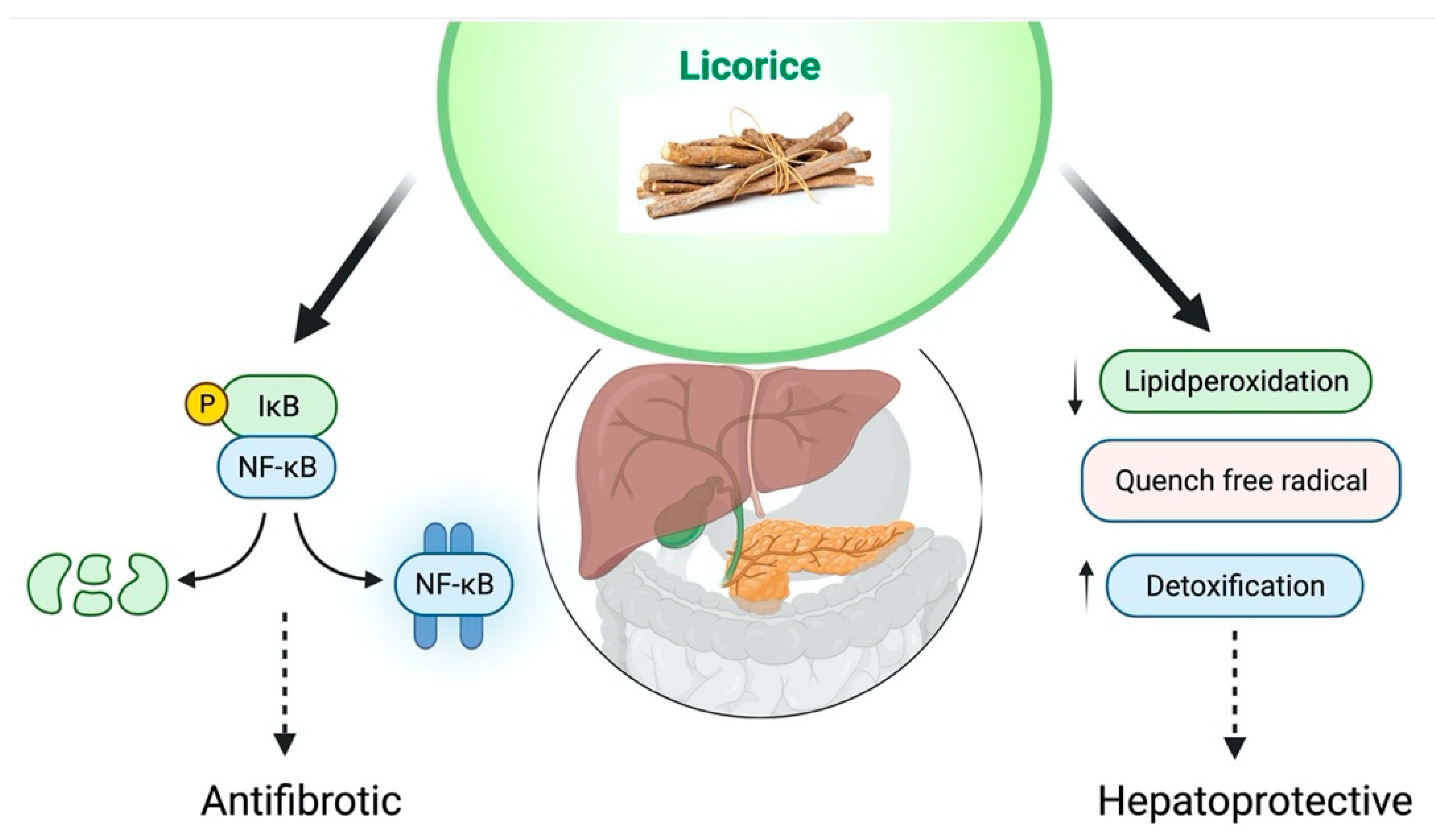 Plants 10 02751 g007