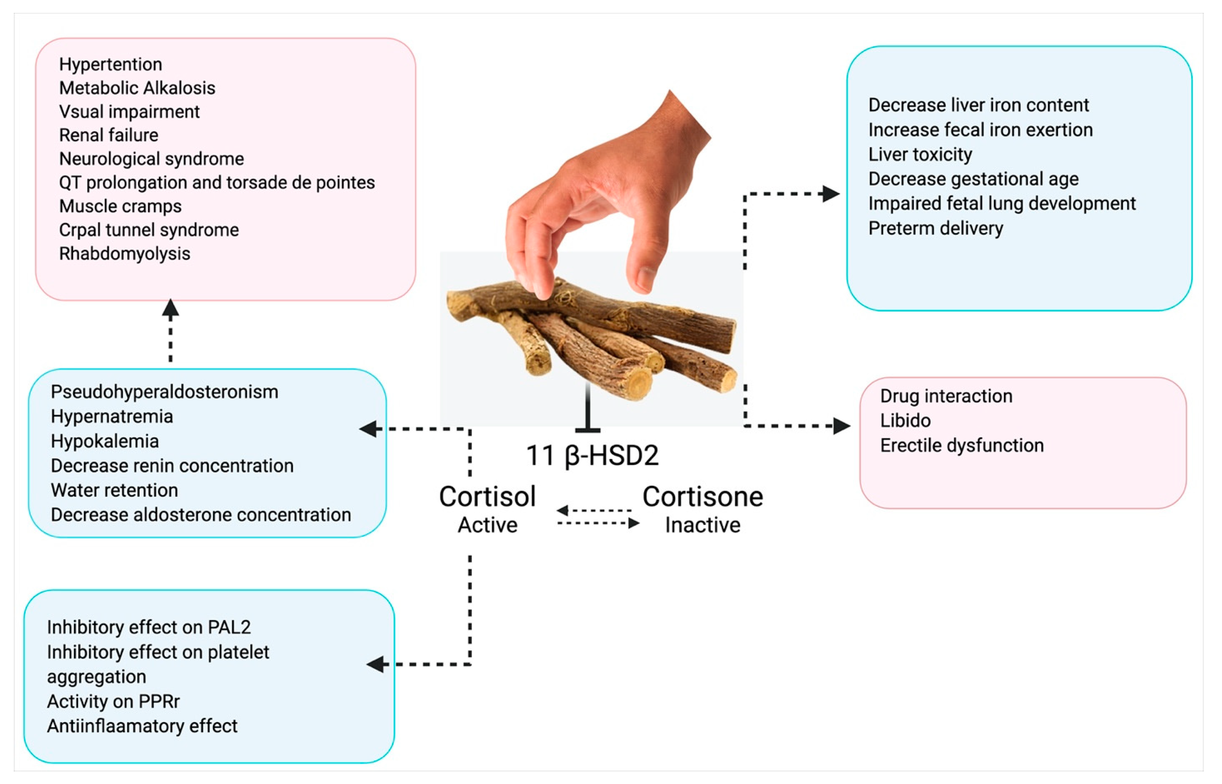 Plants 10 02751 g008