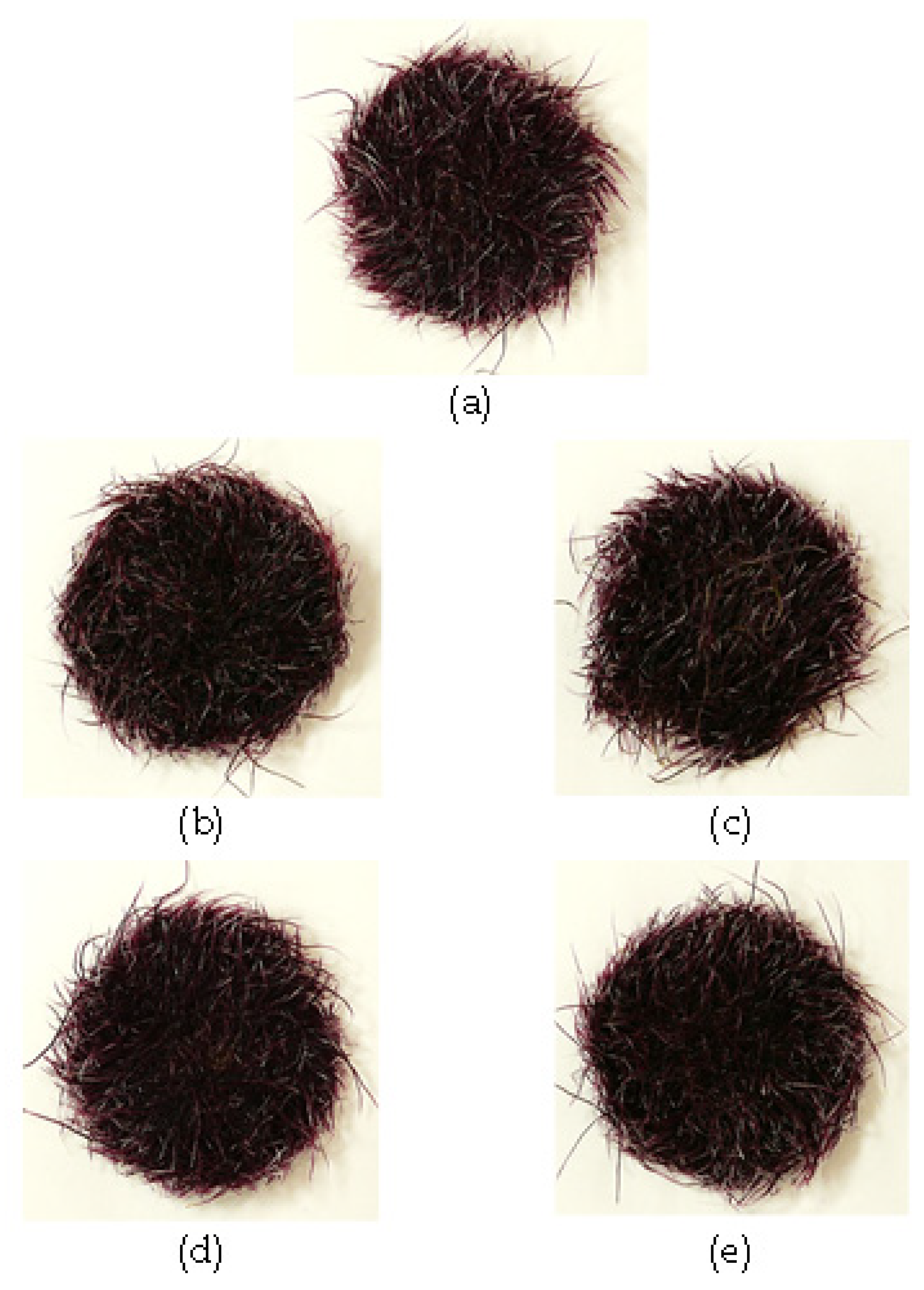 Plants 10 02753 g003