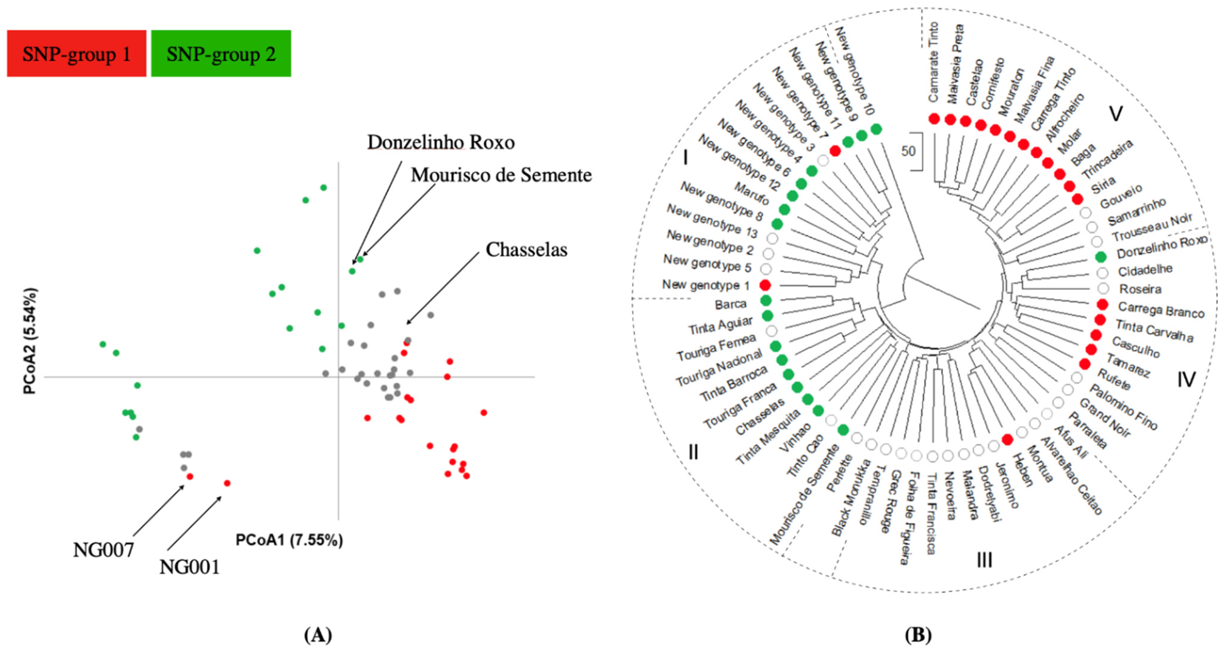 Plants 10 02755 g004