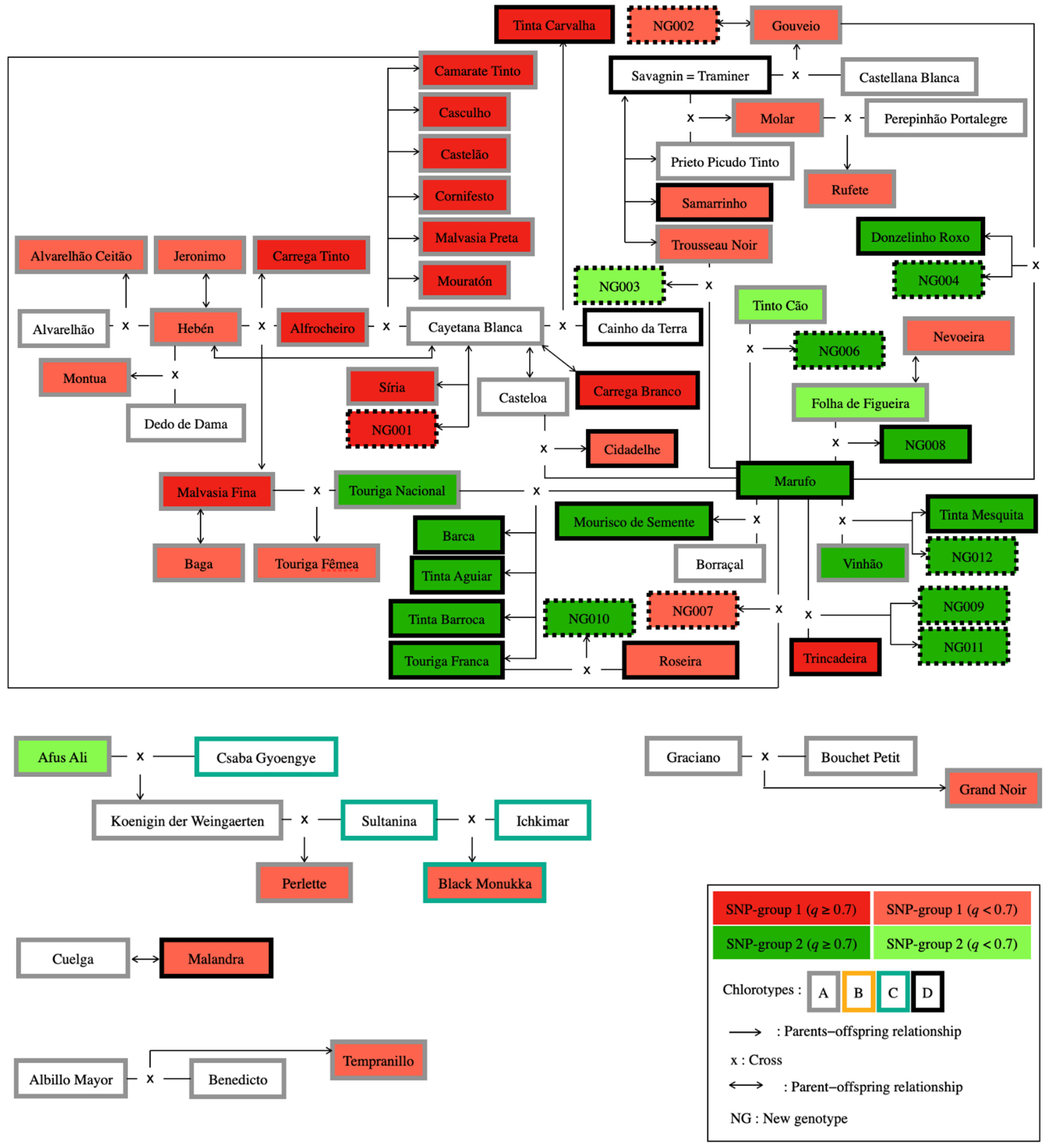 Plants 10 02755 g005