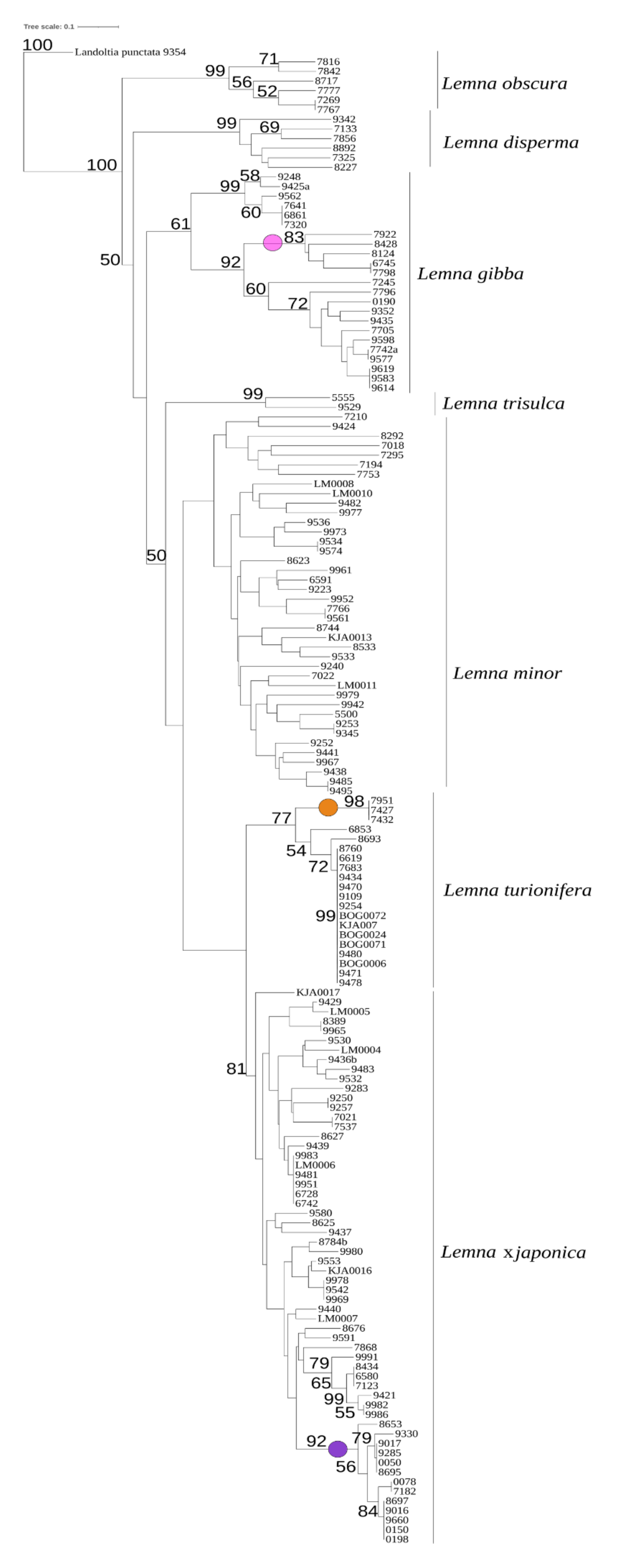 Plants 10 02767 g001