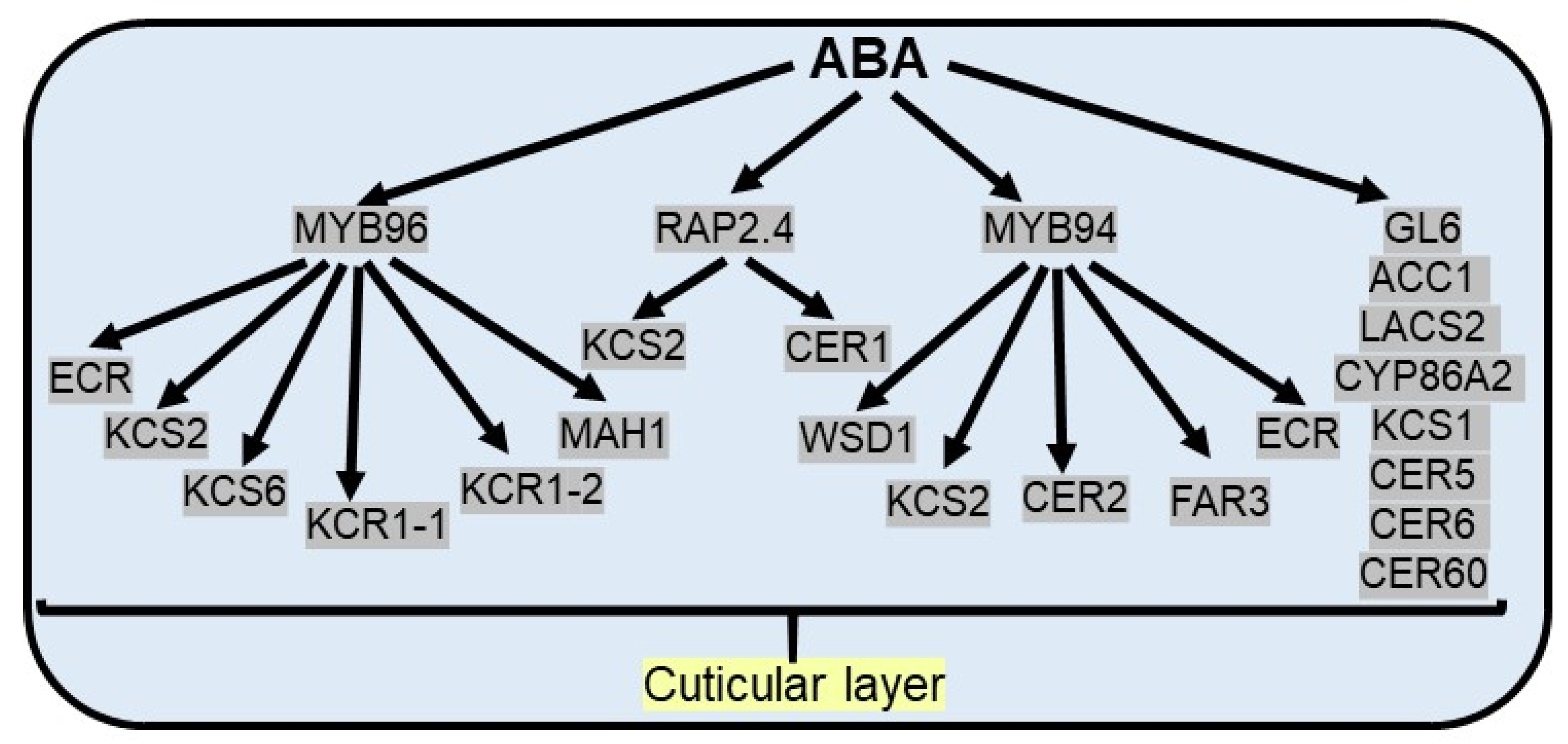 Plants 10 02769 g003