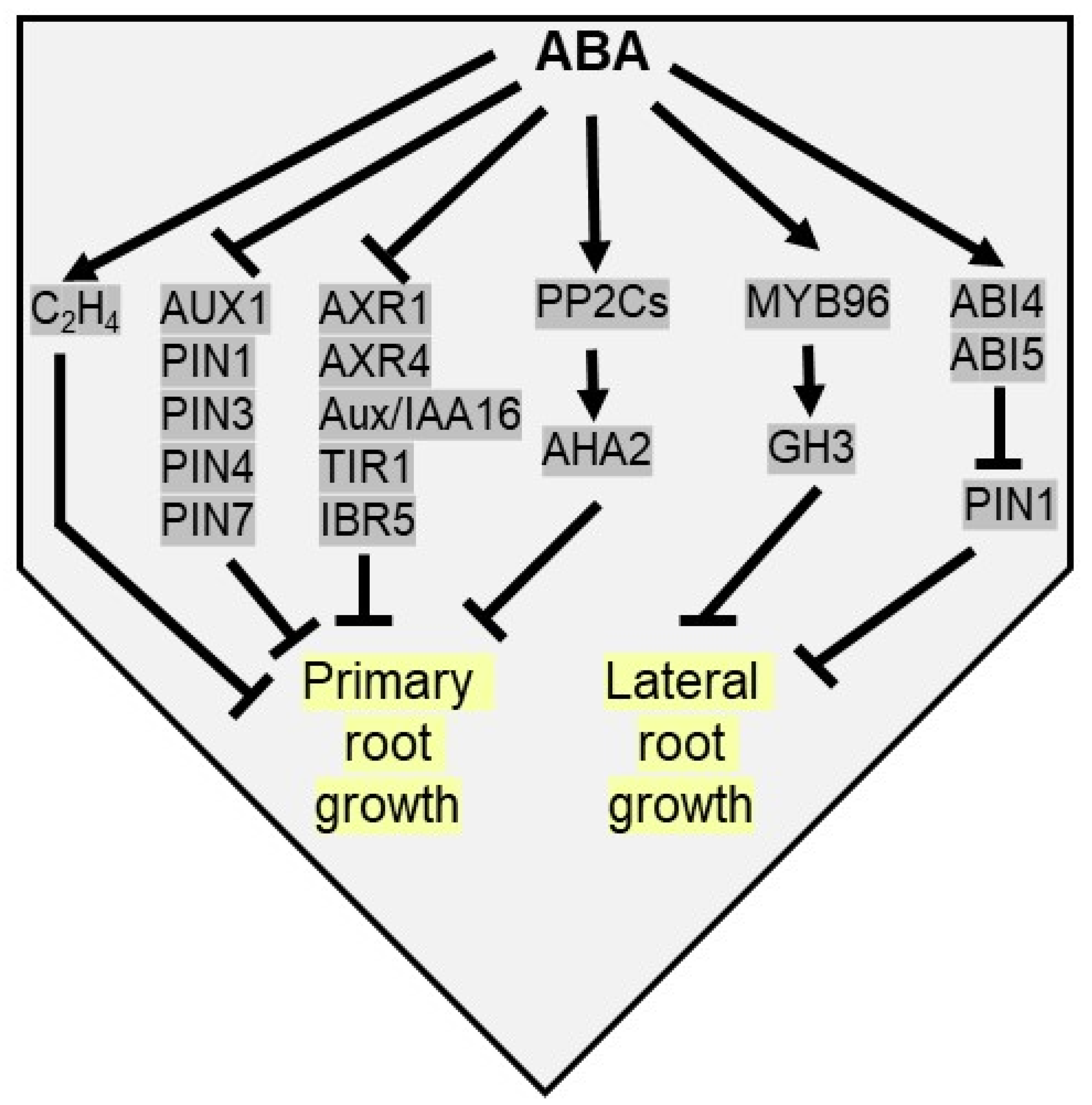 Plants 10 02769 g005
