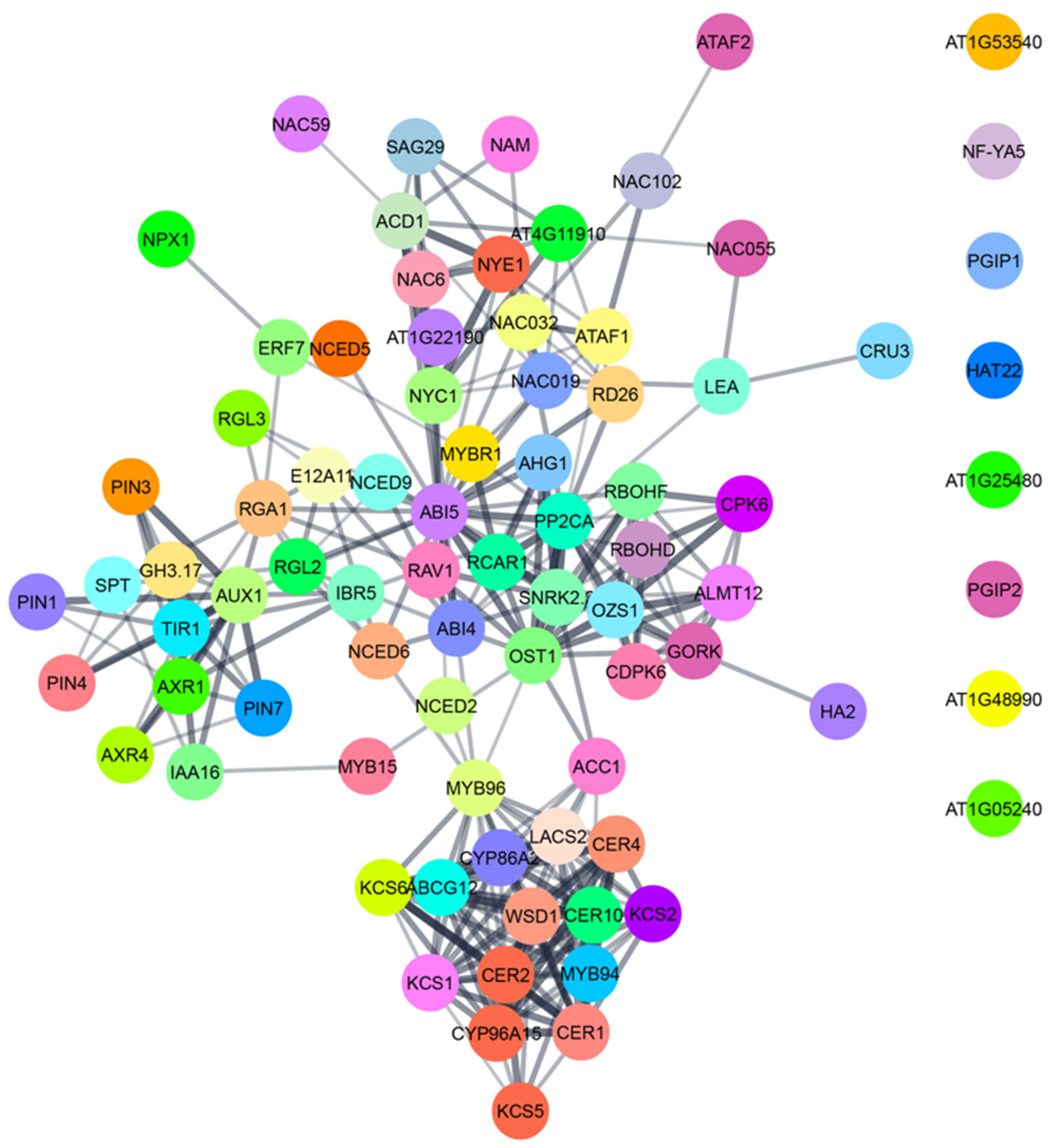 Plants 10 02769 g006