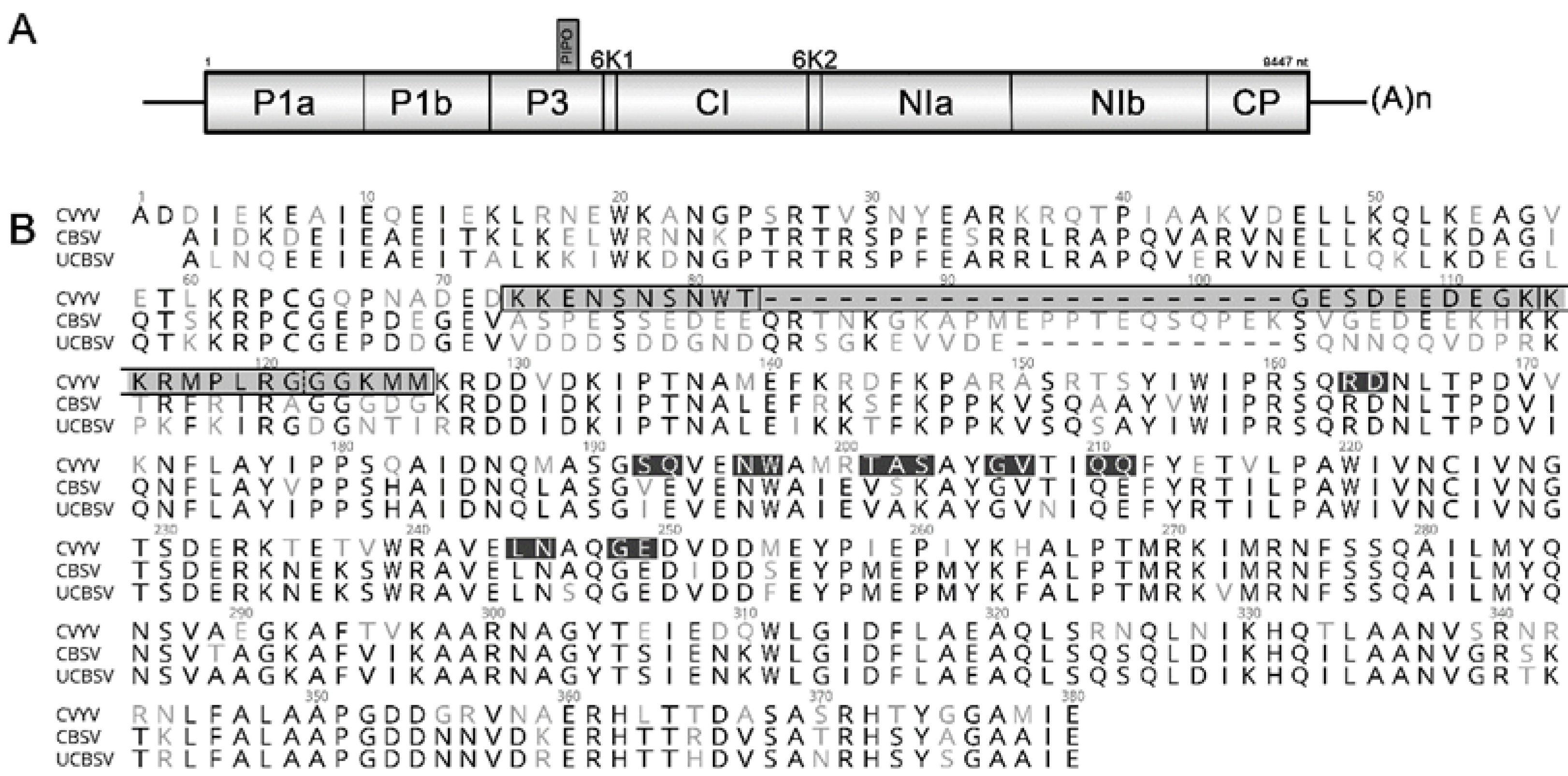 Plants 10 02771 g001
