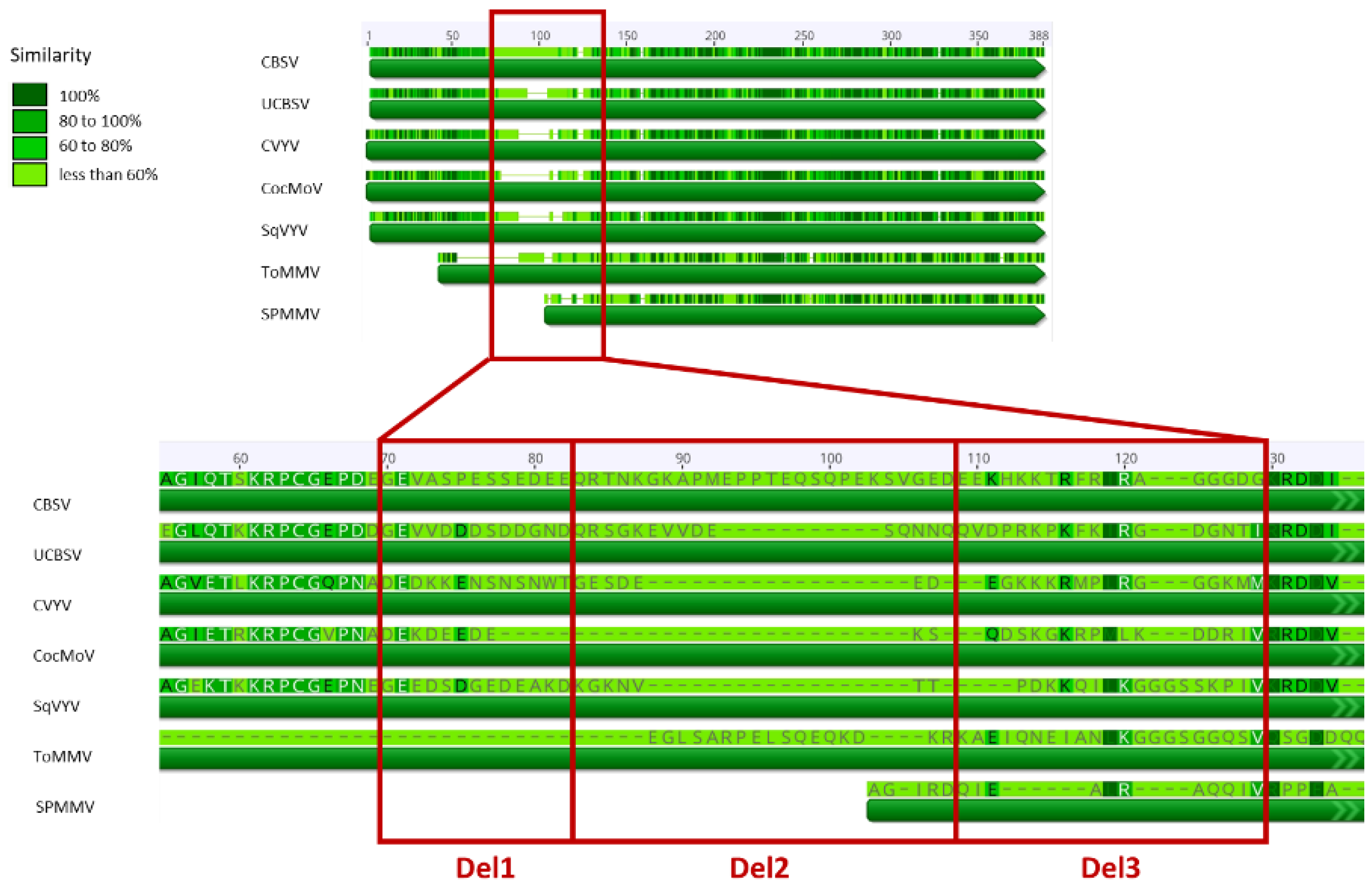 Plants 10 02771 g002