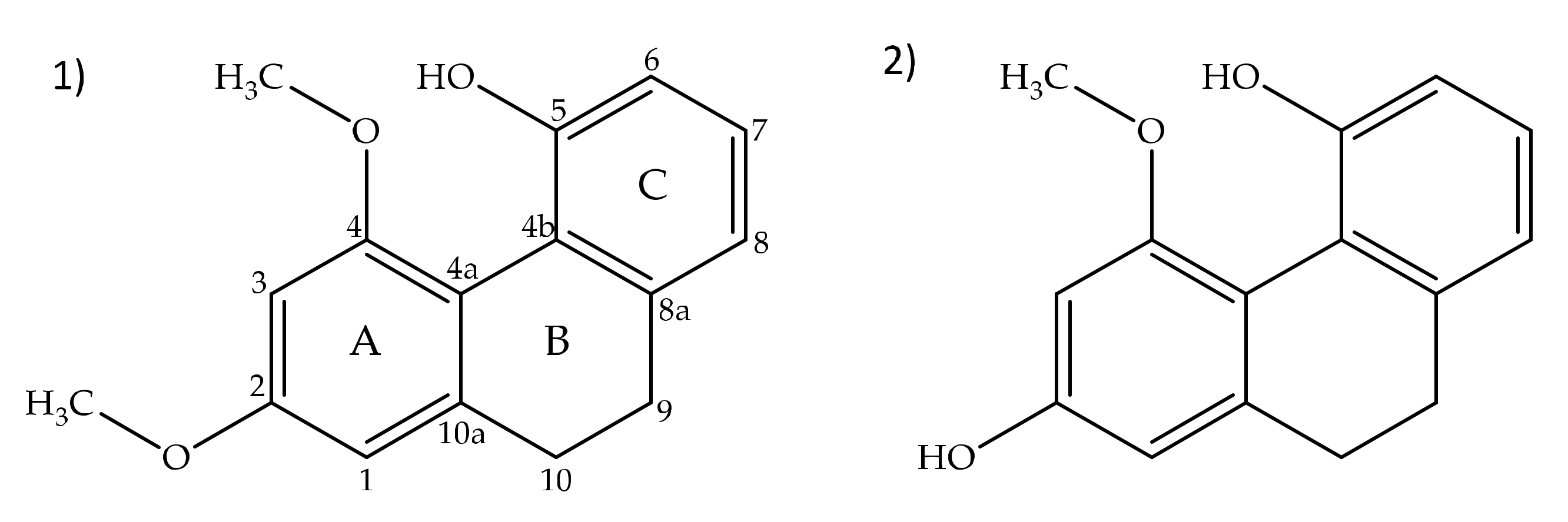 Plants 10 02776 g001