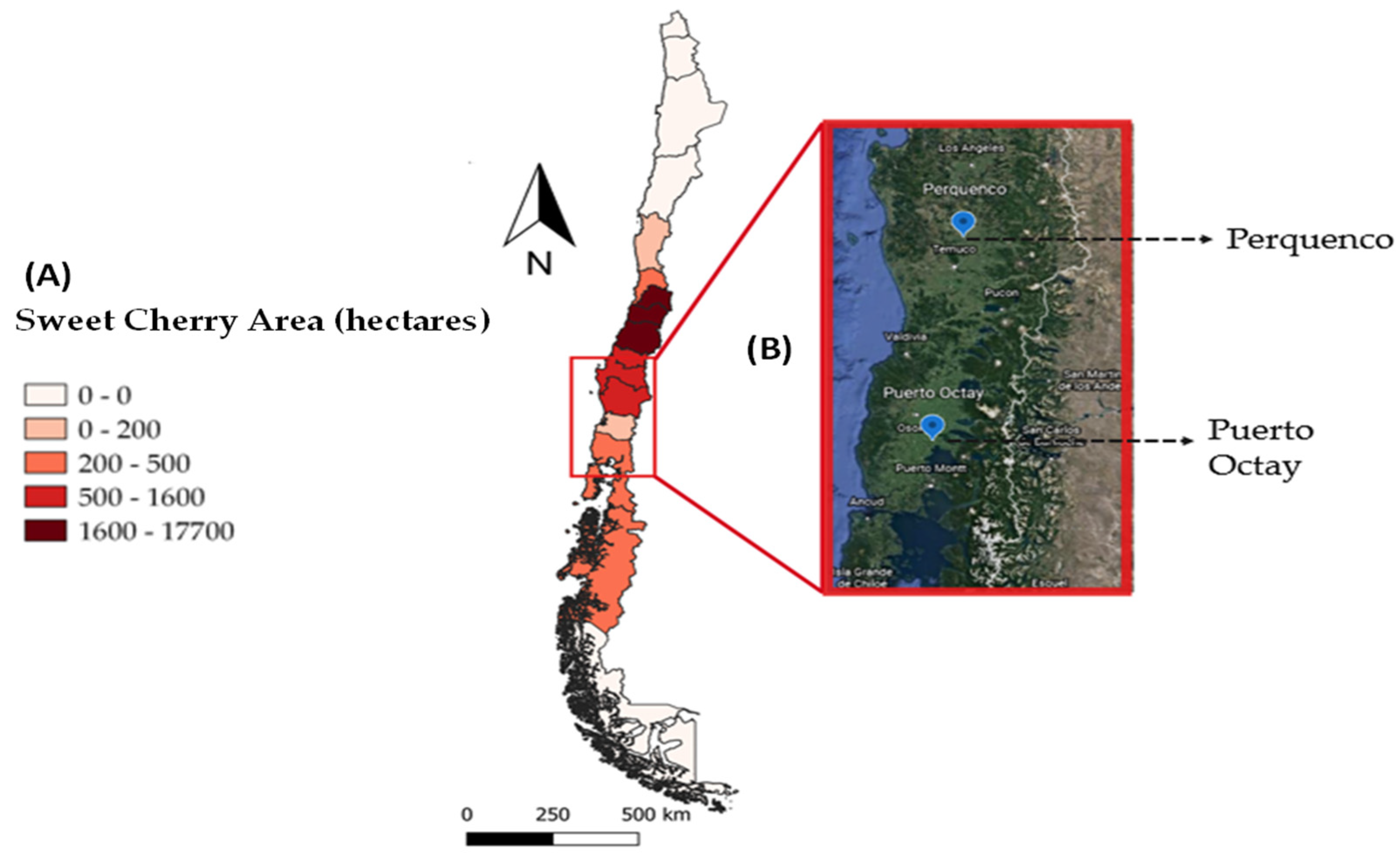 Plants 10 02778 g004