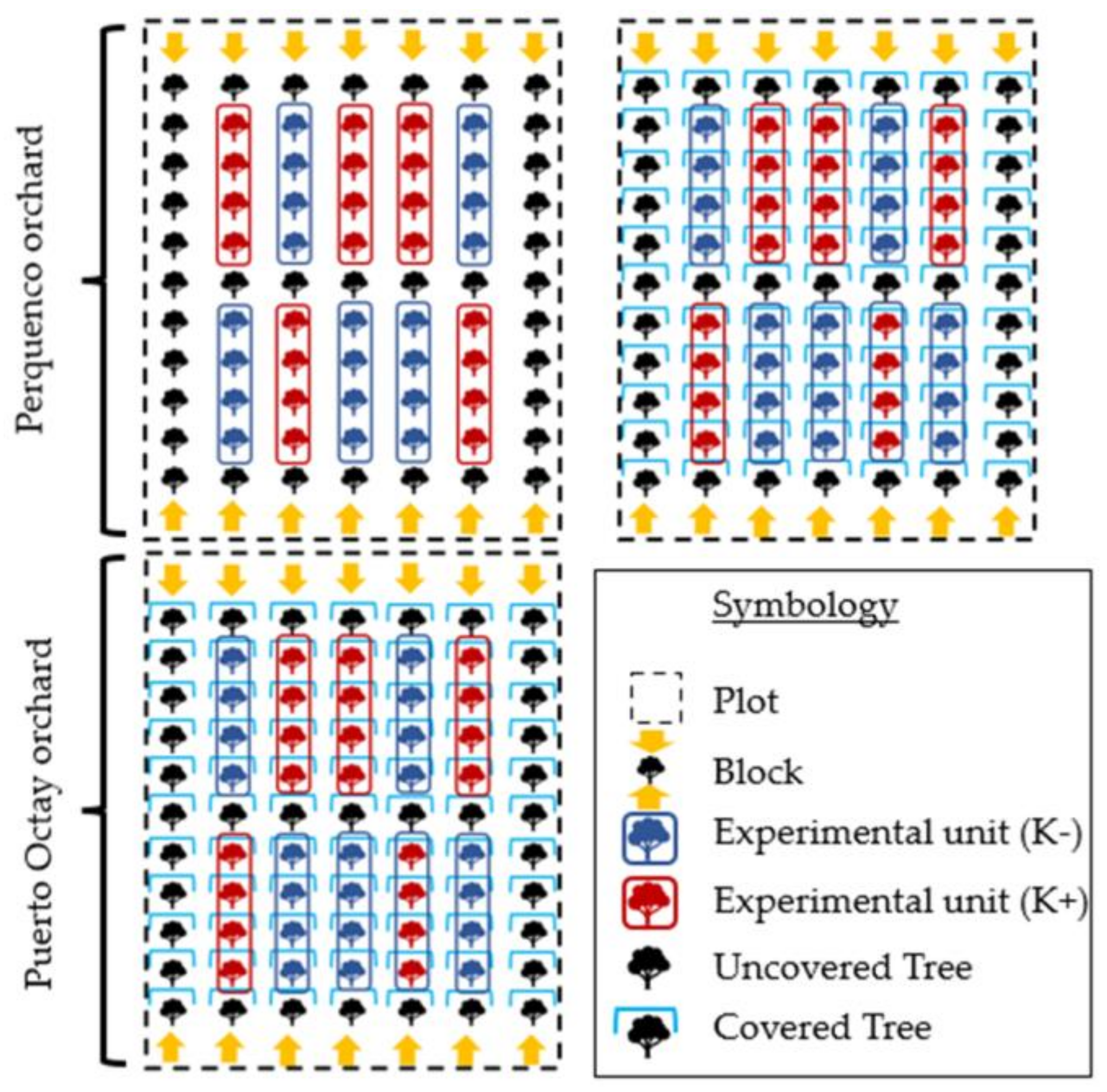 Plants 10 02778 g005